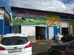 Свежее мясо (Salova Street, 52/16) ، بيع منتجات اللحوم بالجملة