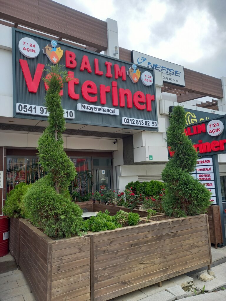 Veterinary clinic Balım Veteriner Kliniği, Basaksehir, photo