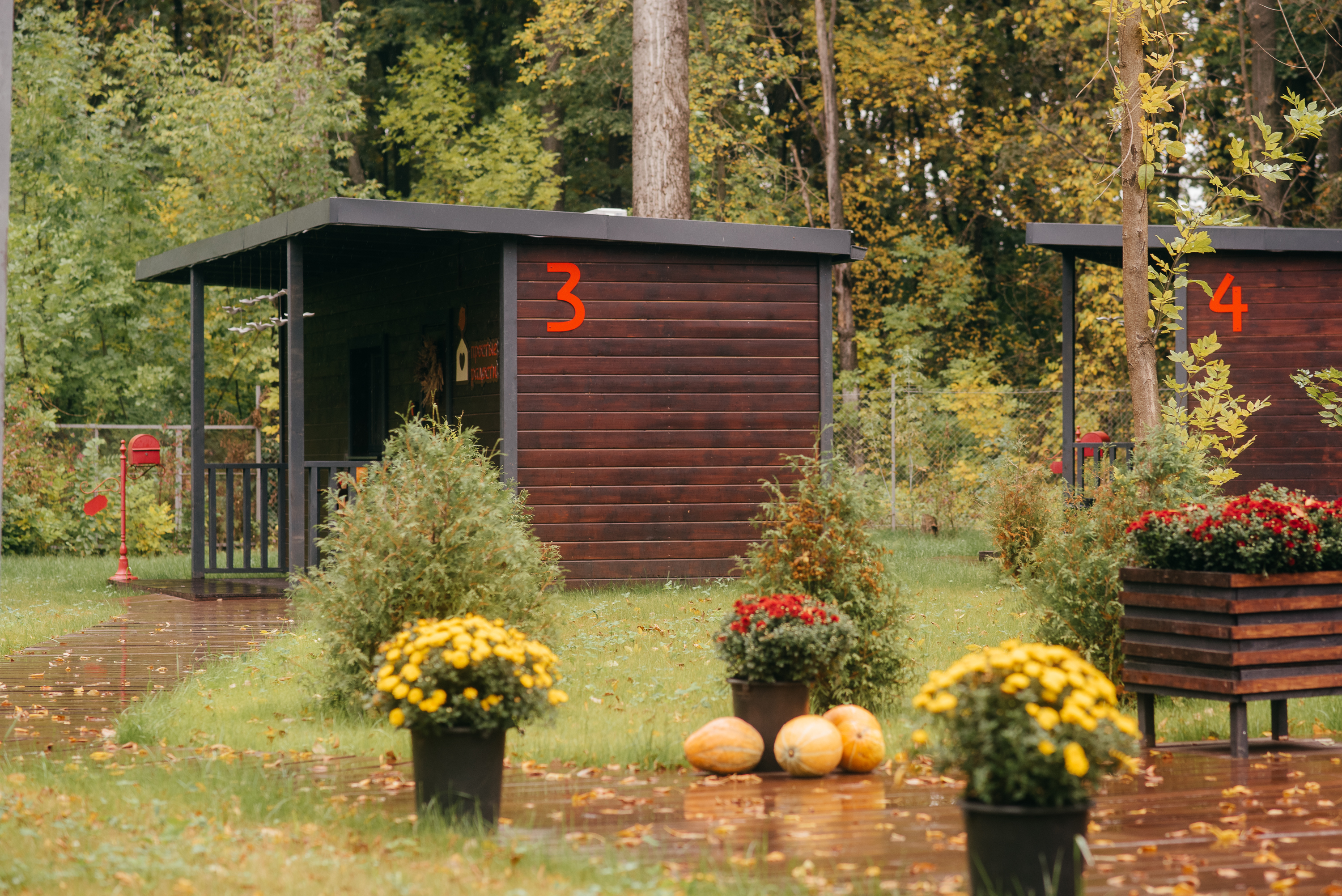 Фото Простые Радости