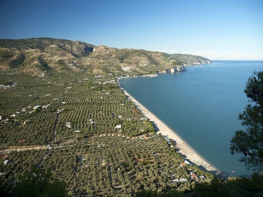 Фото Hotel Alba Del Gargano