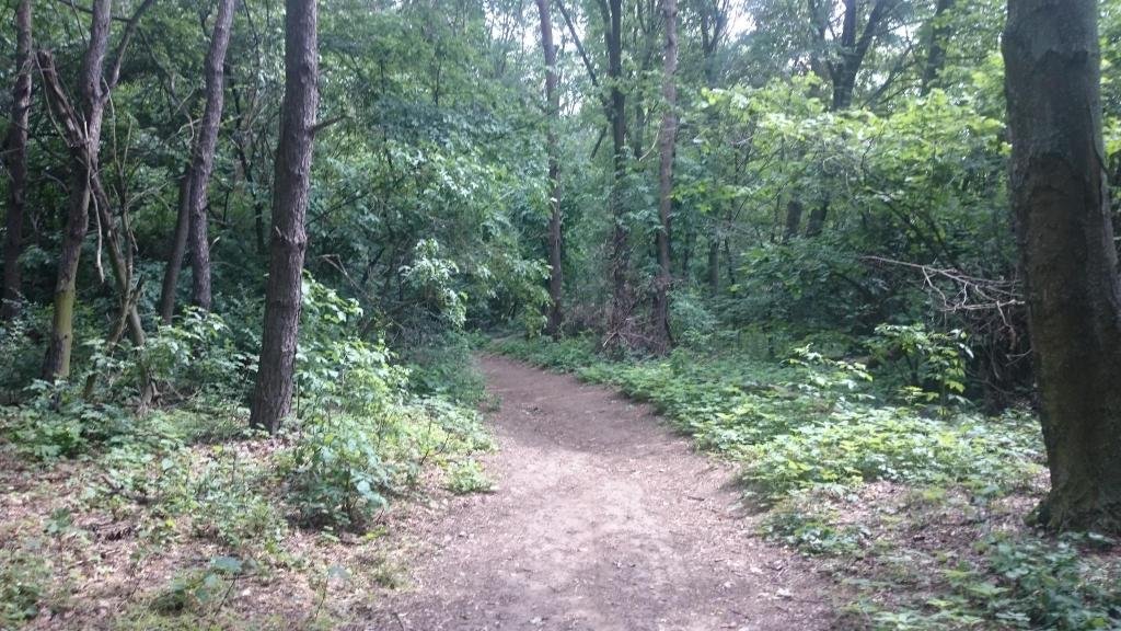 Фото 5 Puttonyos Vendeghaz