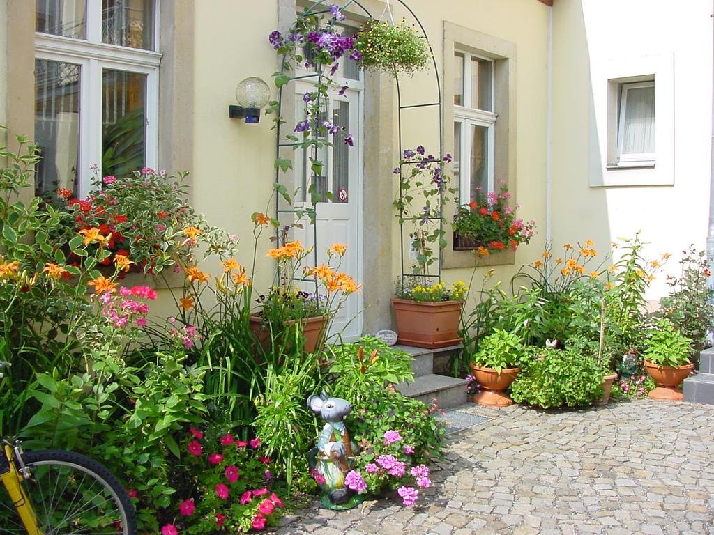 Фото Pension Pieschen Dresden