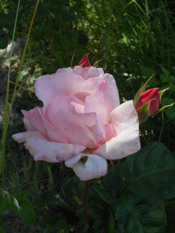 Фото La Casa di Cesarina