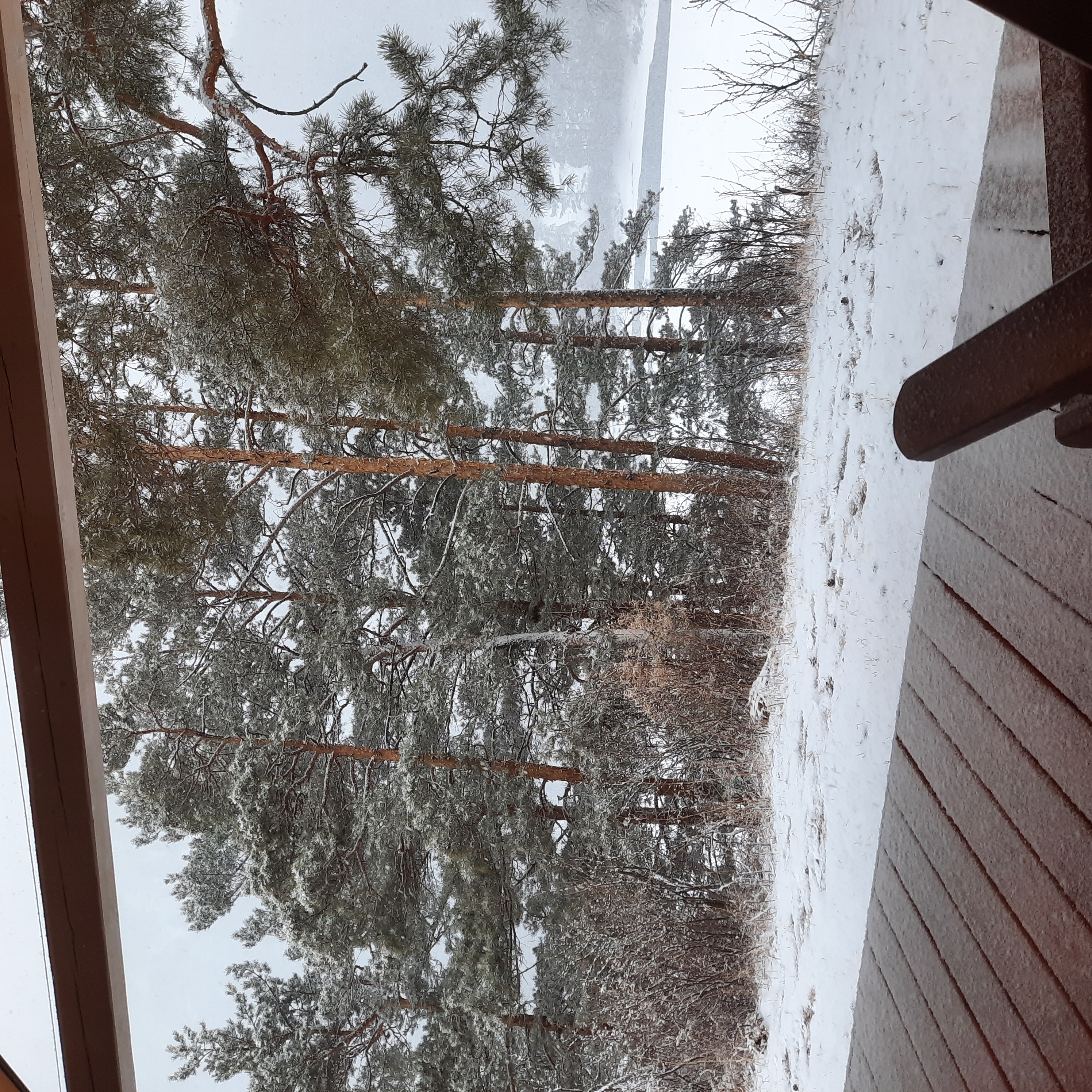 Фото Шале АйОк