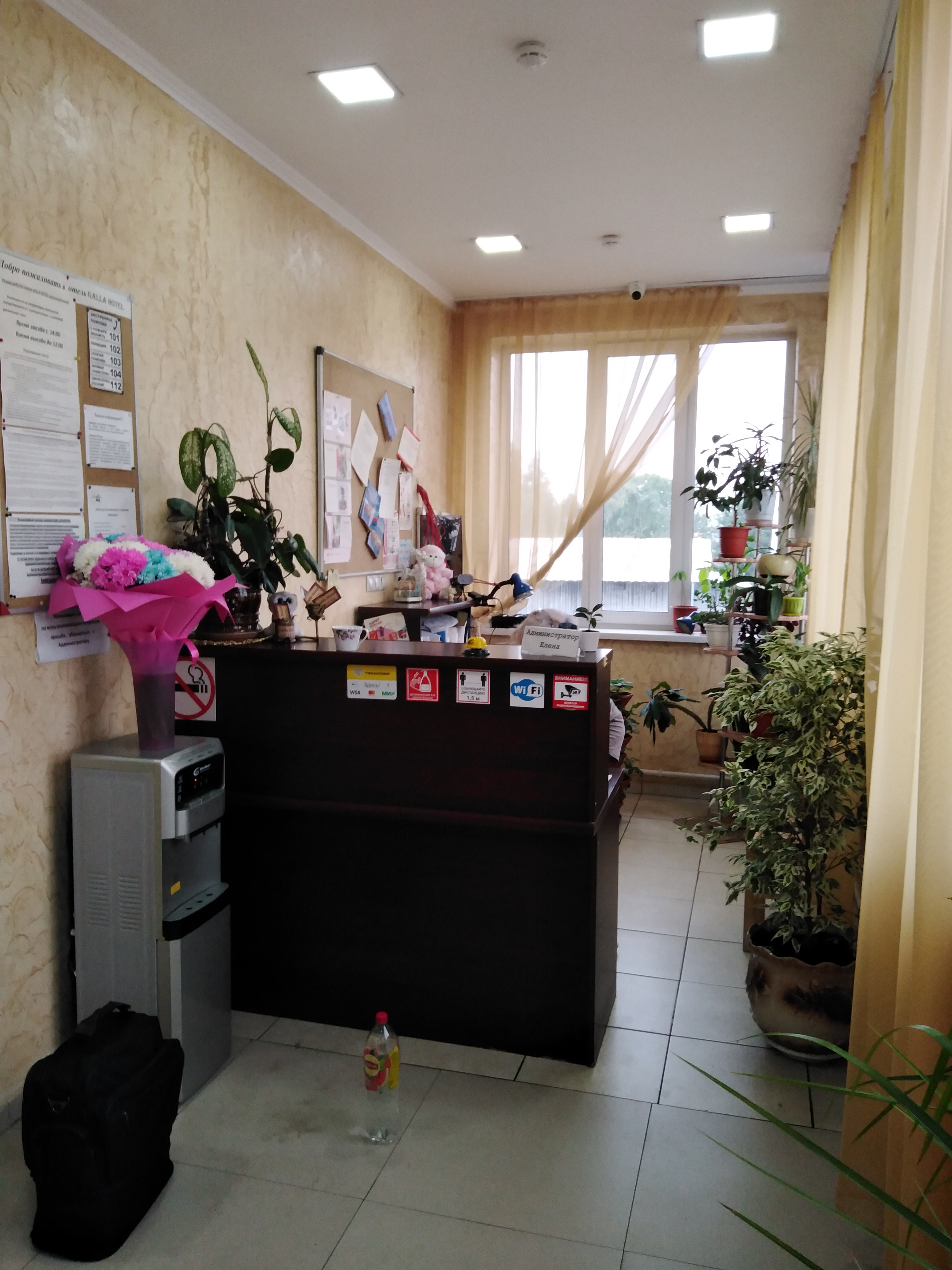 Фото Galla Hotel