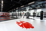 Mfp Fight Gym (Timiryazevskaya Street, 1А), sports club