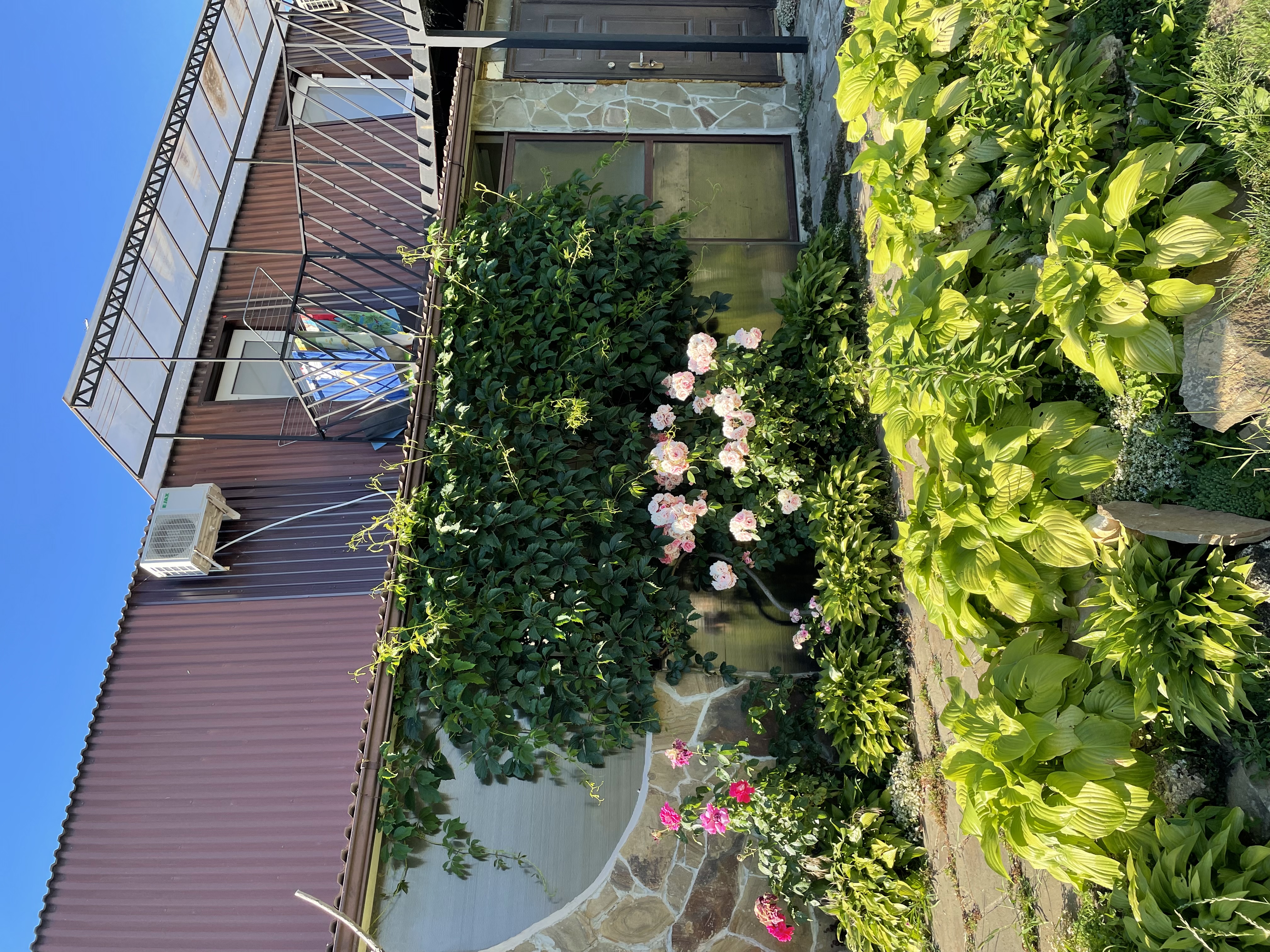 Фото Привет, родной!