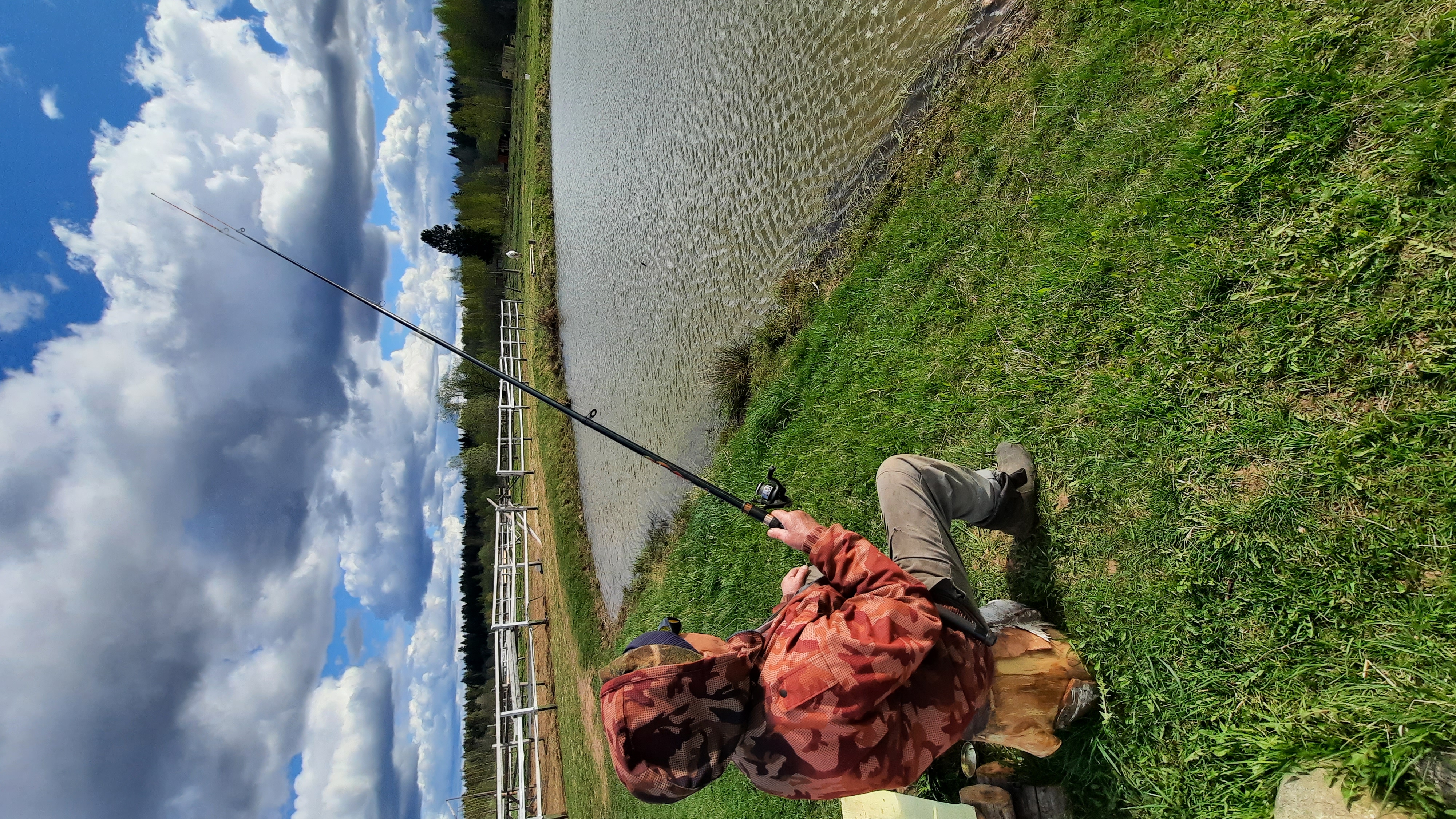 Фото Пушкинские дачи