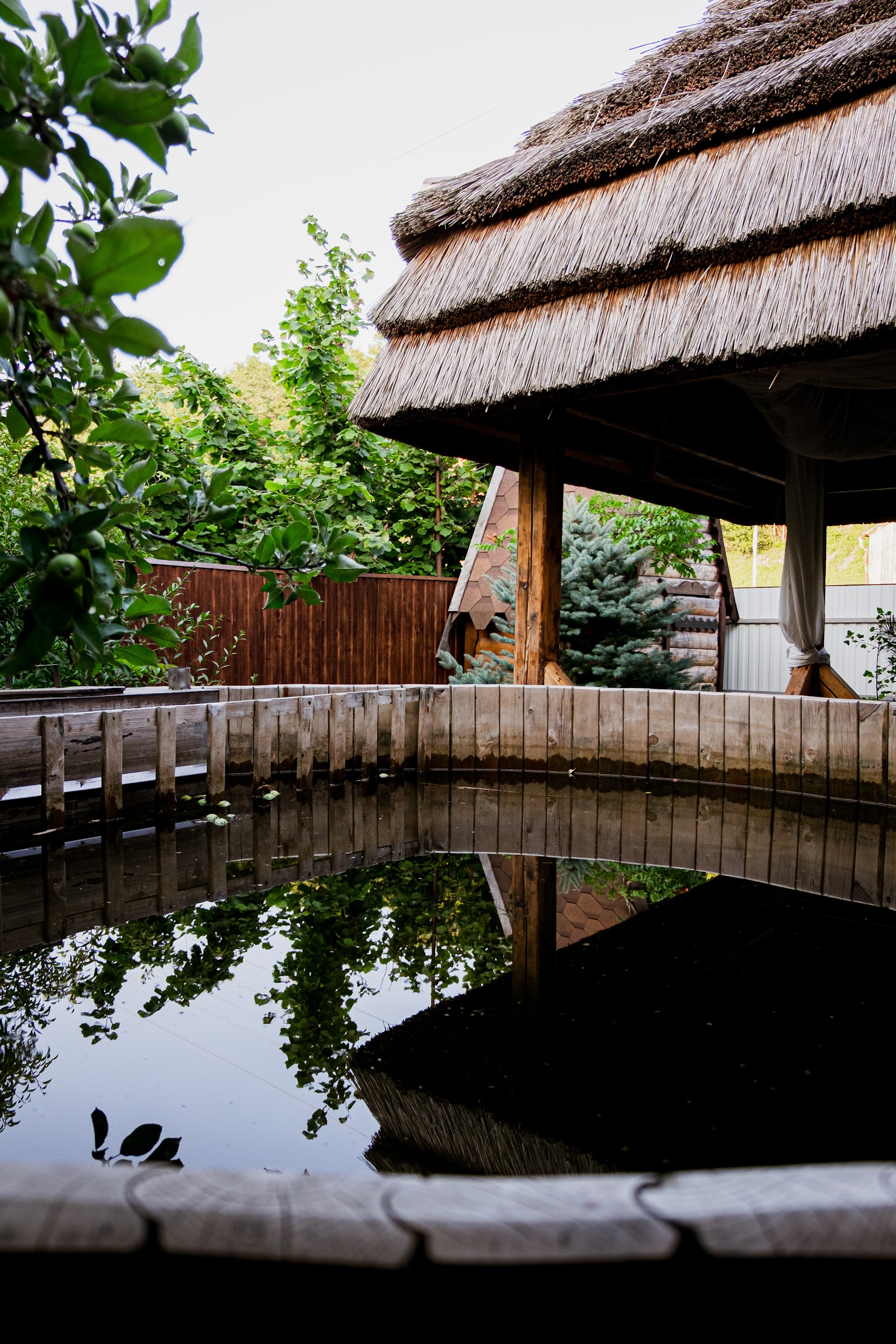 Фото Курочка Ряба