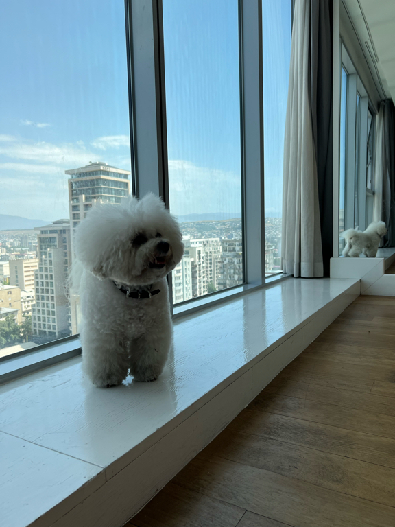 Фото Holiday Inn Tbilisi