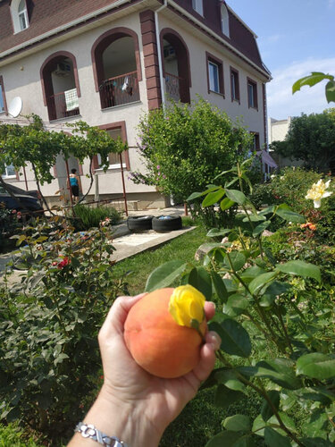Дом в аренду Андреевский флаг в Николаевке