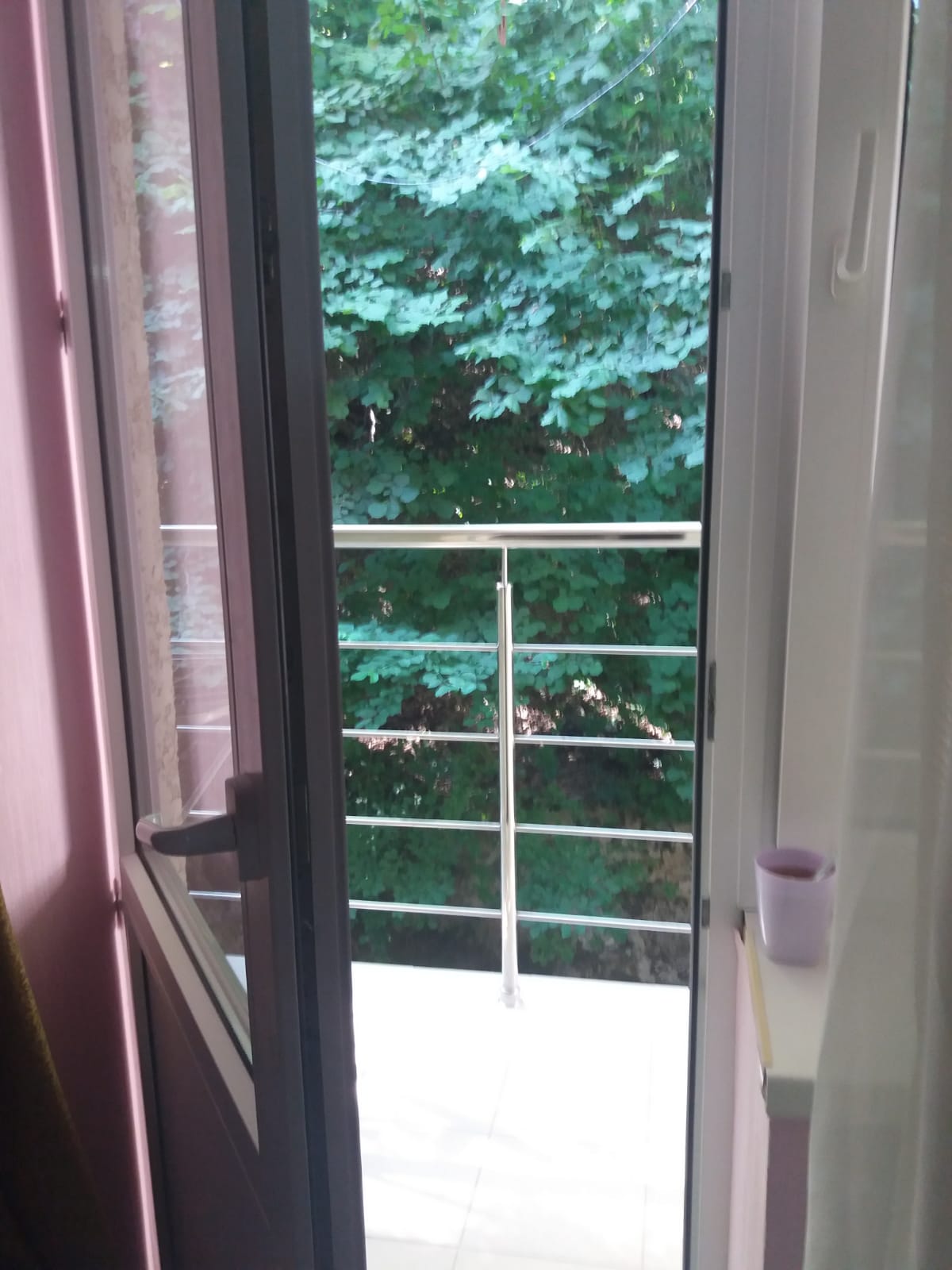 Фото Берёзка