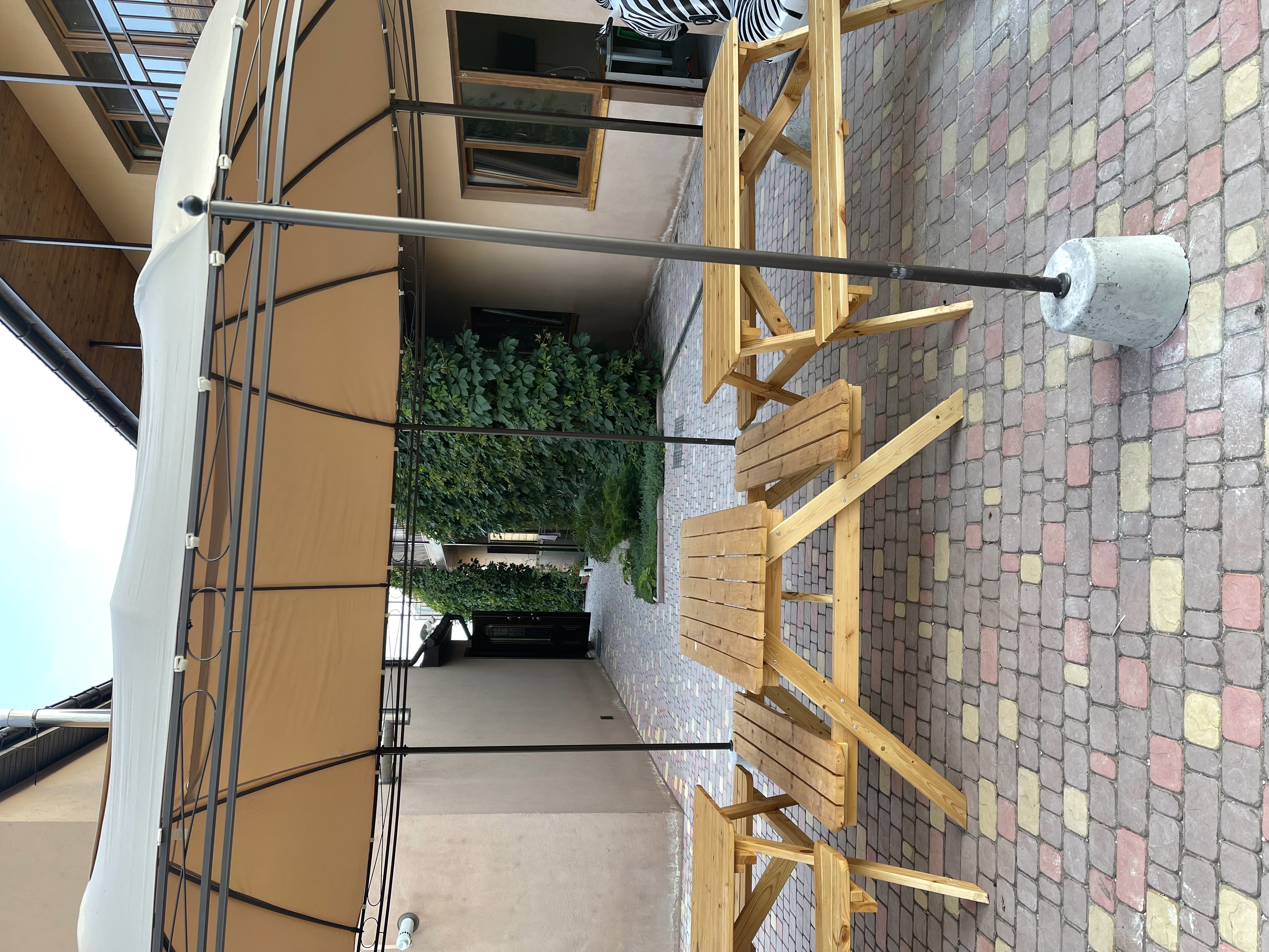 Фото Бамбук