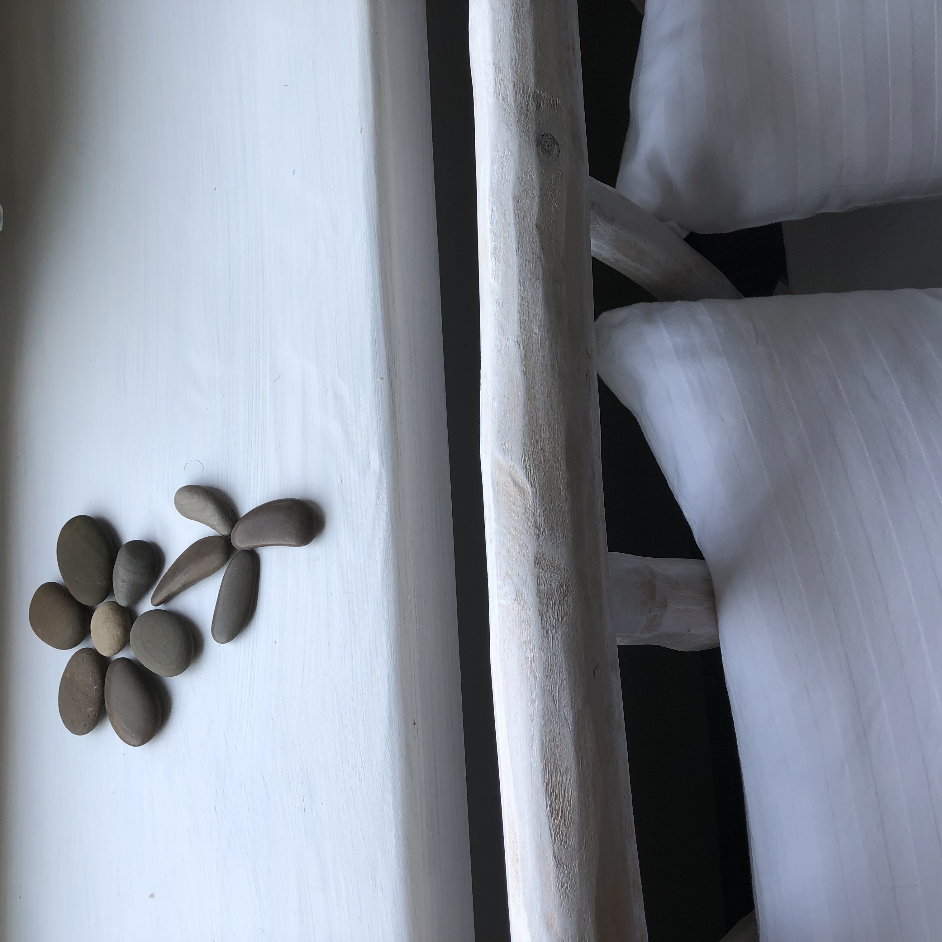 Фото Лосьпробежал