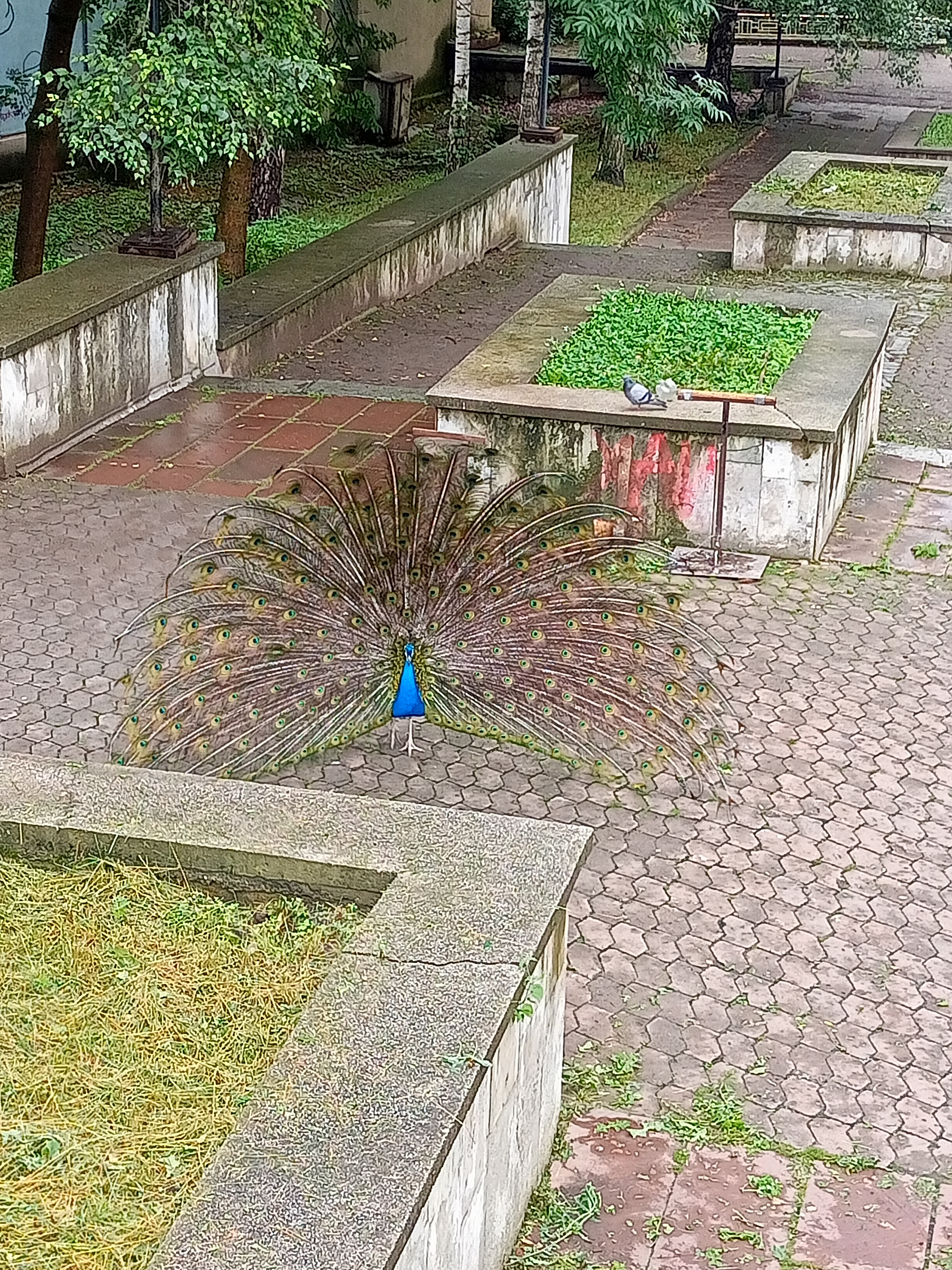 Фото Белая дача