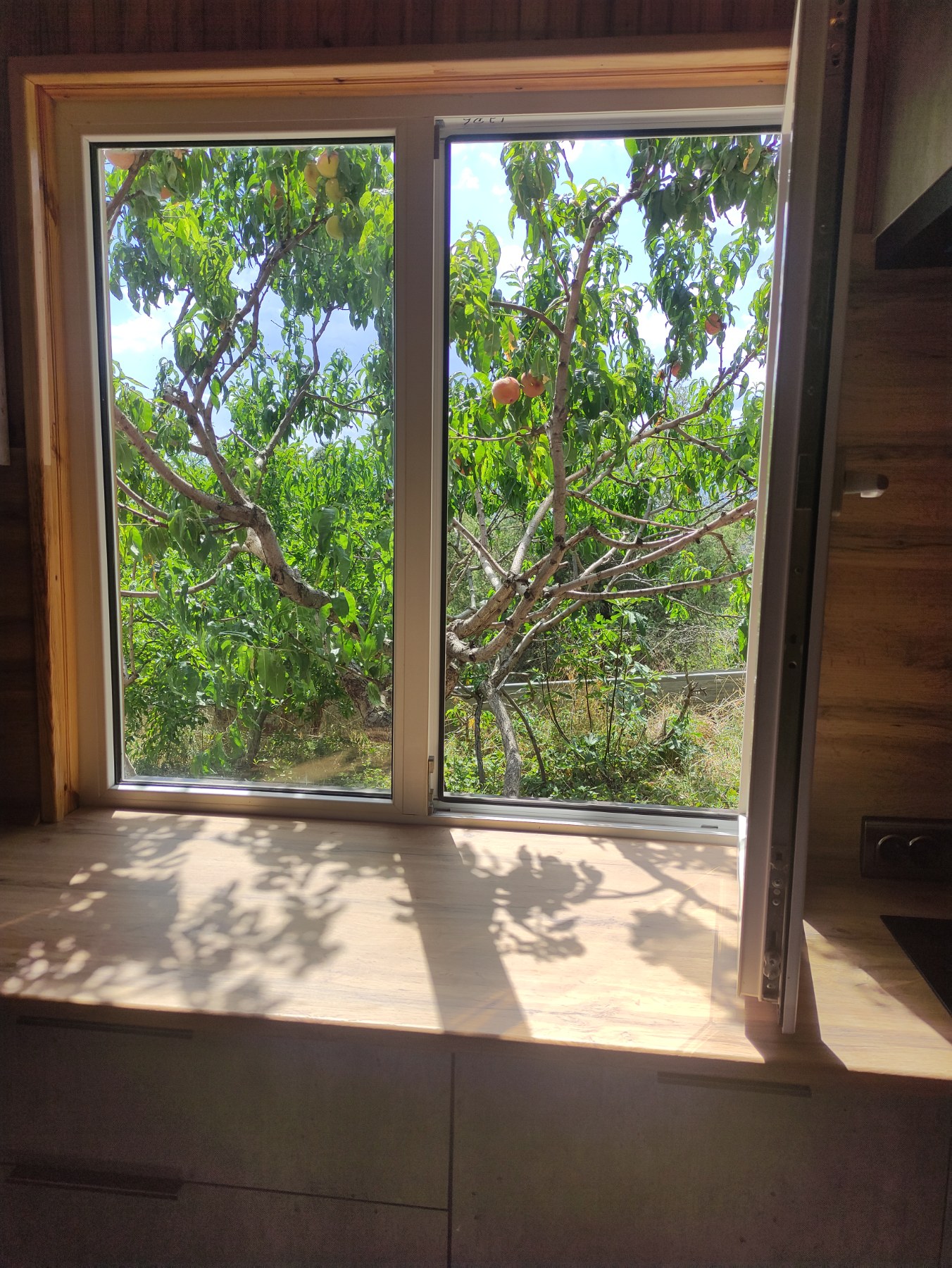 Фото Панорамный сруб