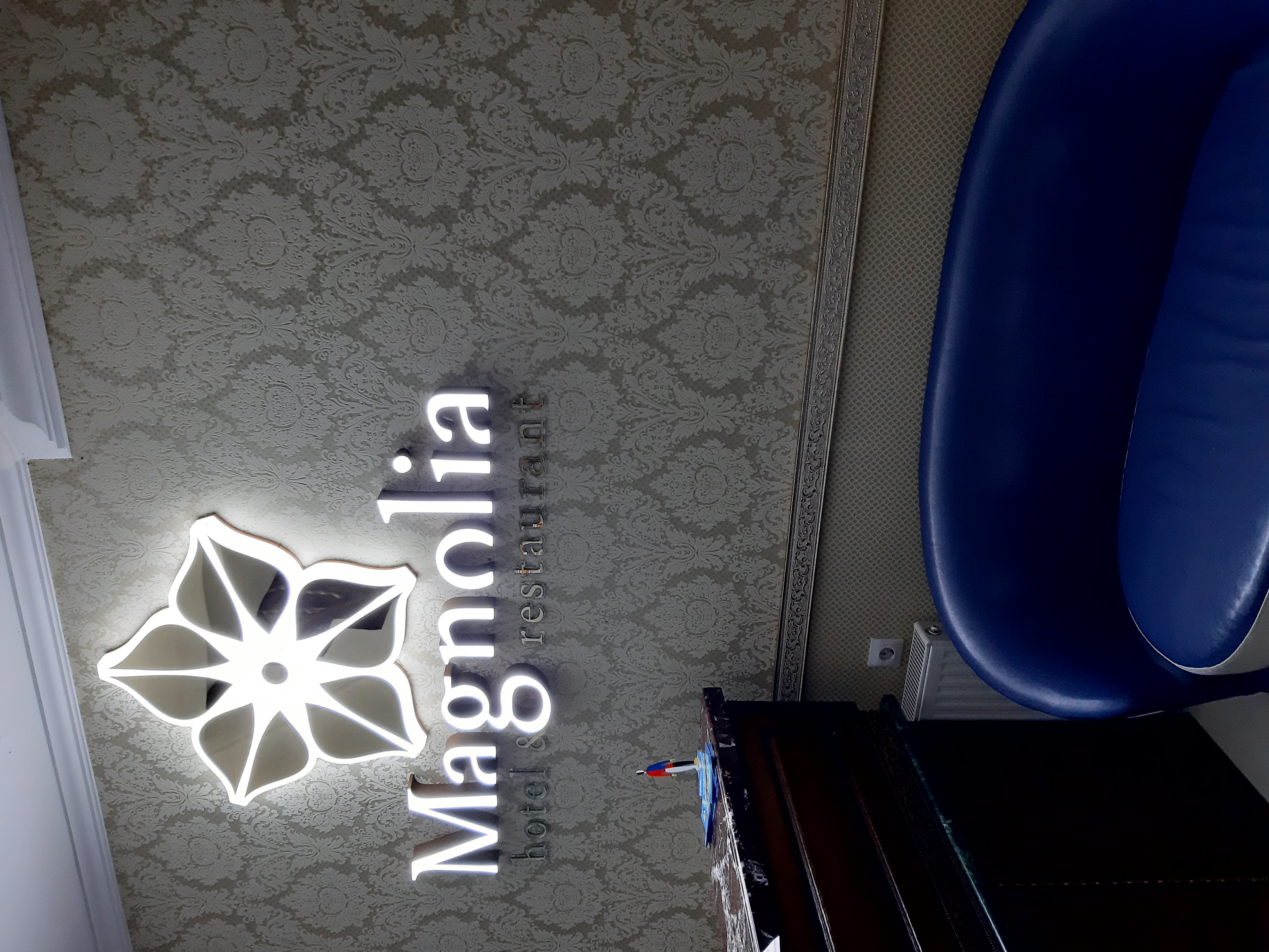 Фото Магнолия