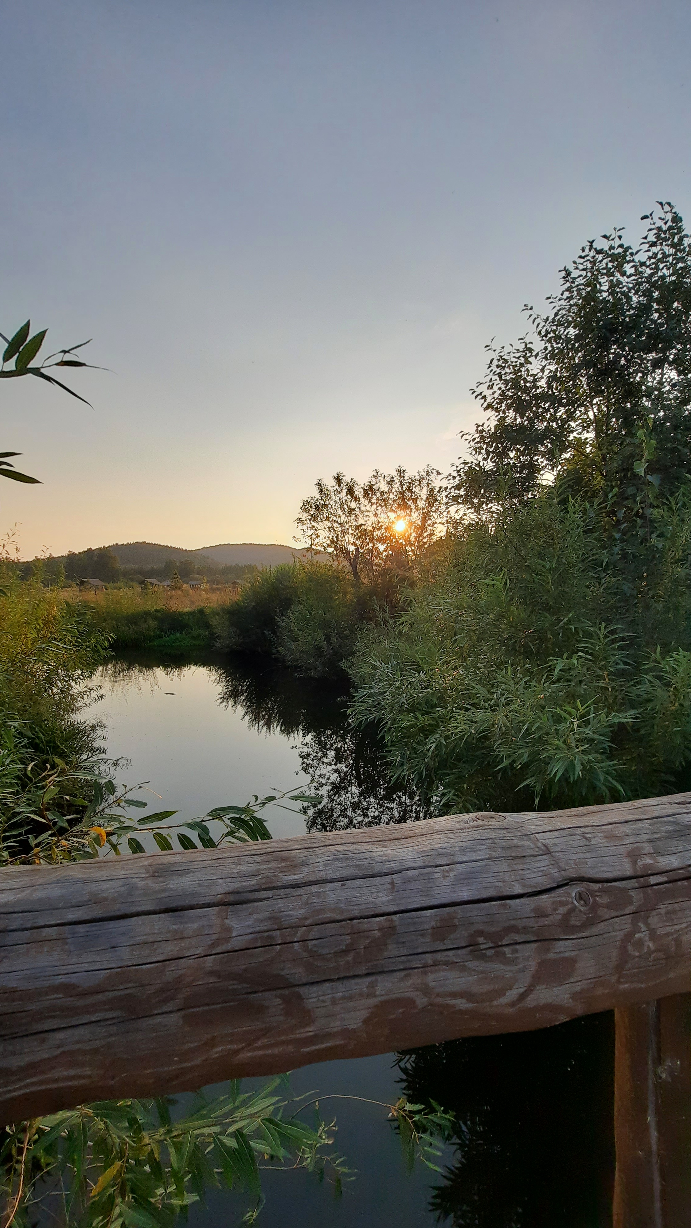 Фото Sunny Valley