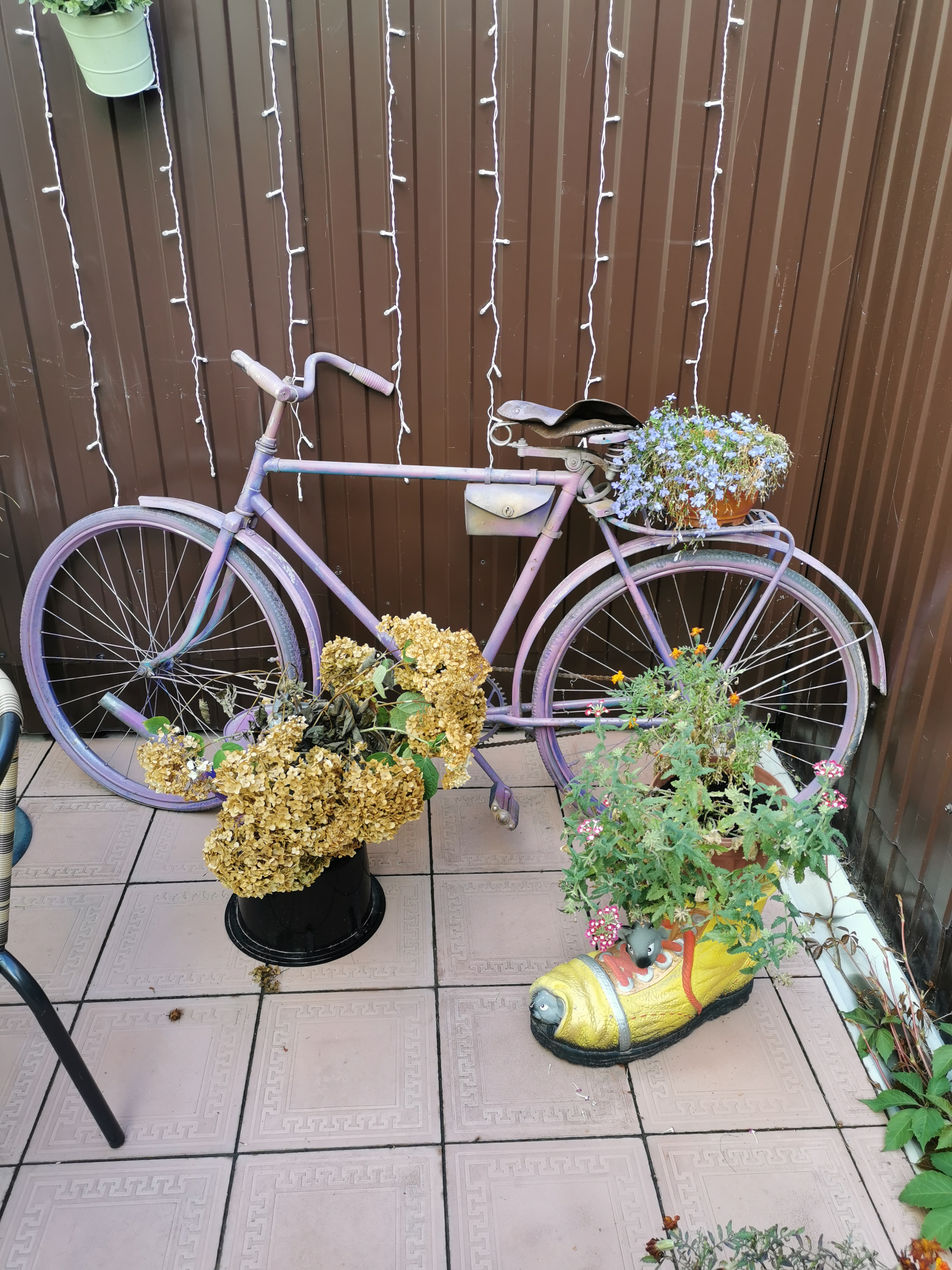 Фото Амосов