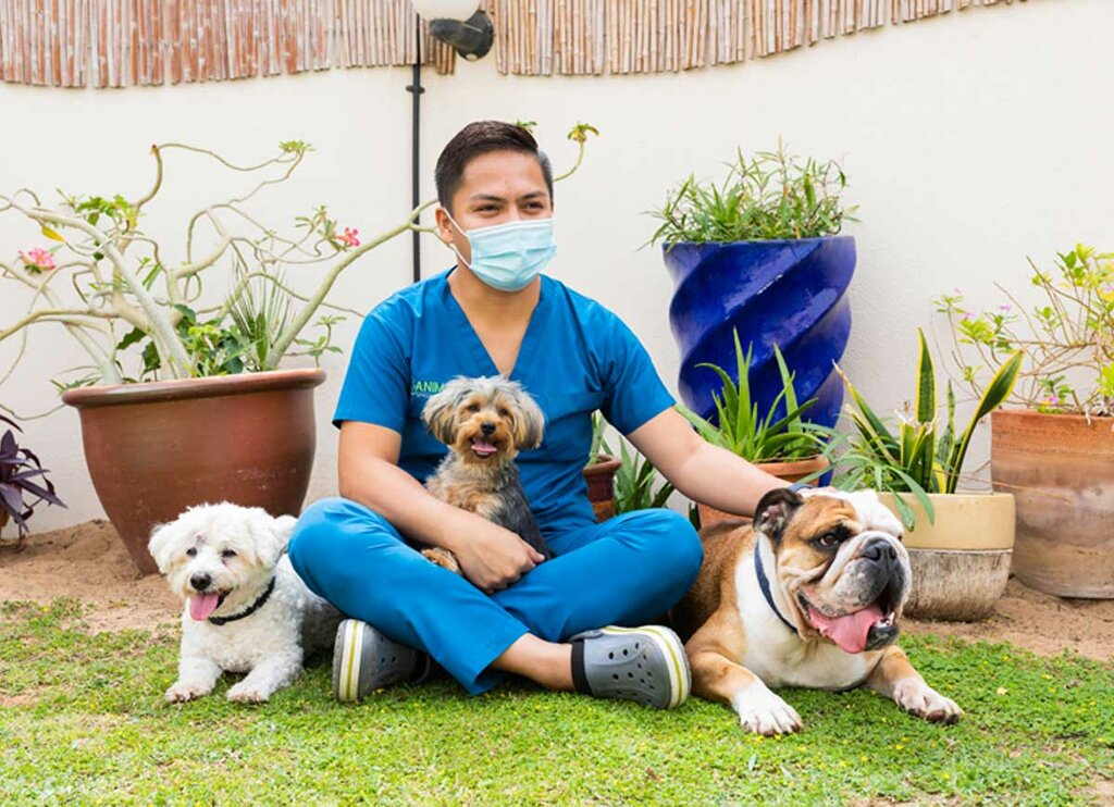 Veterinary clinic Animal Specialist Clinic, Dubai, photo