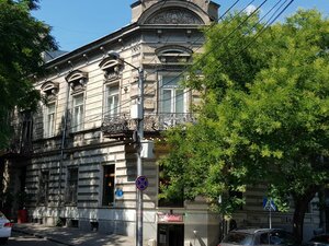 The King & The Bird (Samegrelo-Zemo Svaneti, Senaki, Rezo Tabukashvili Street), restaurant