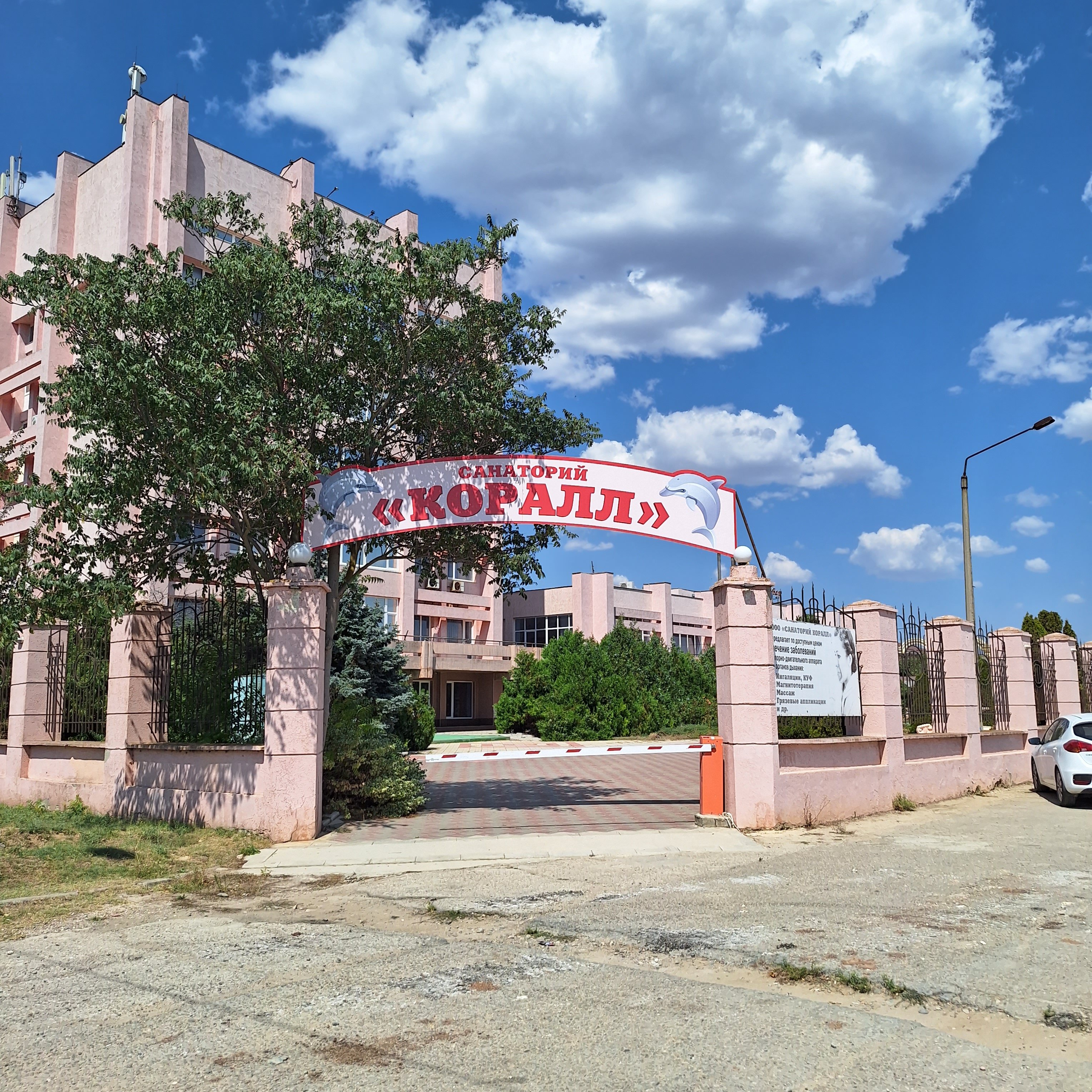 Фото Коралл