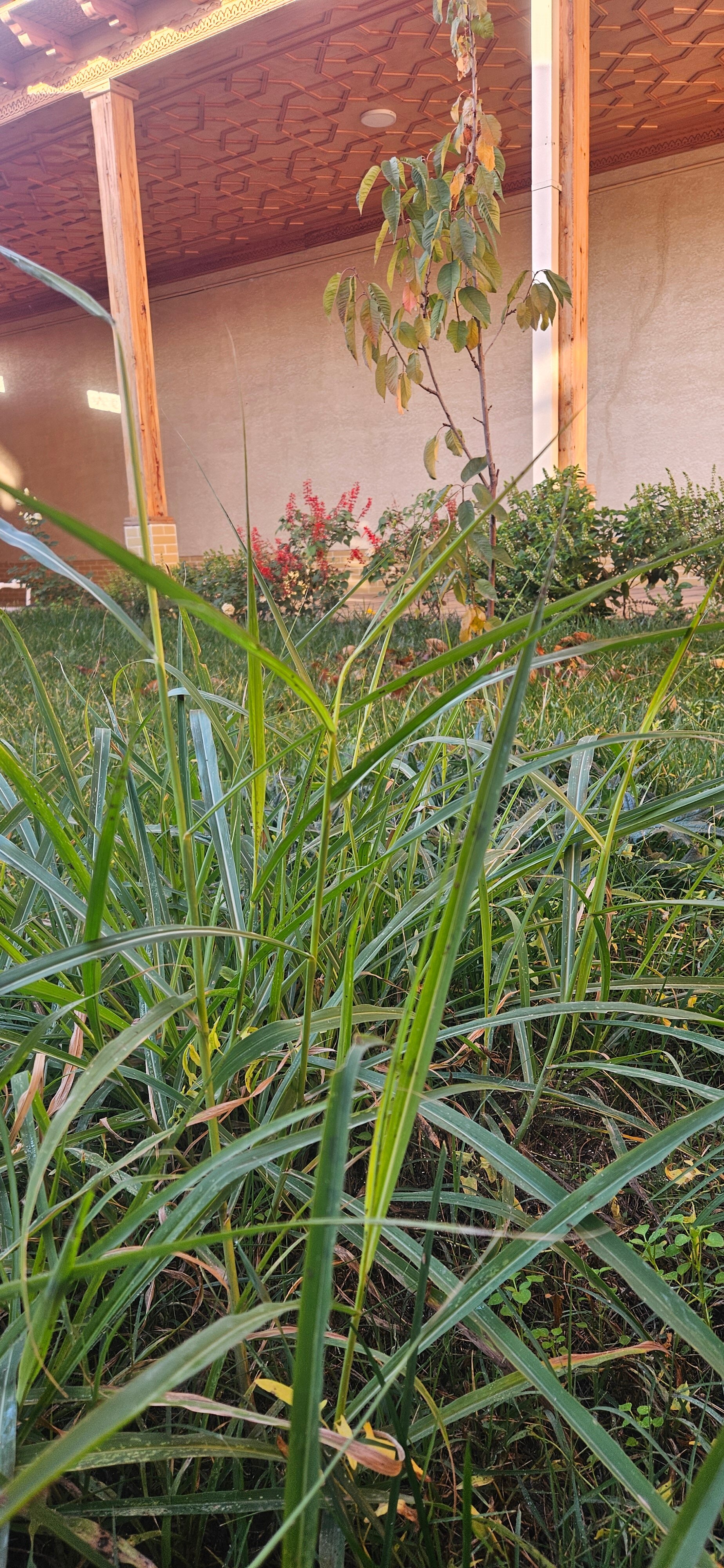 Фото Hotel Suzuk ota