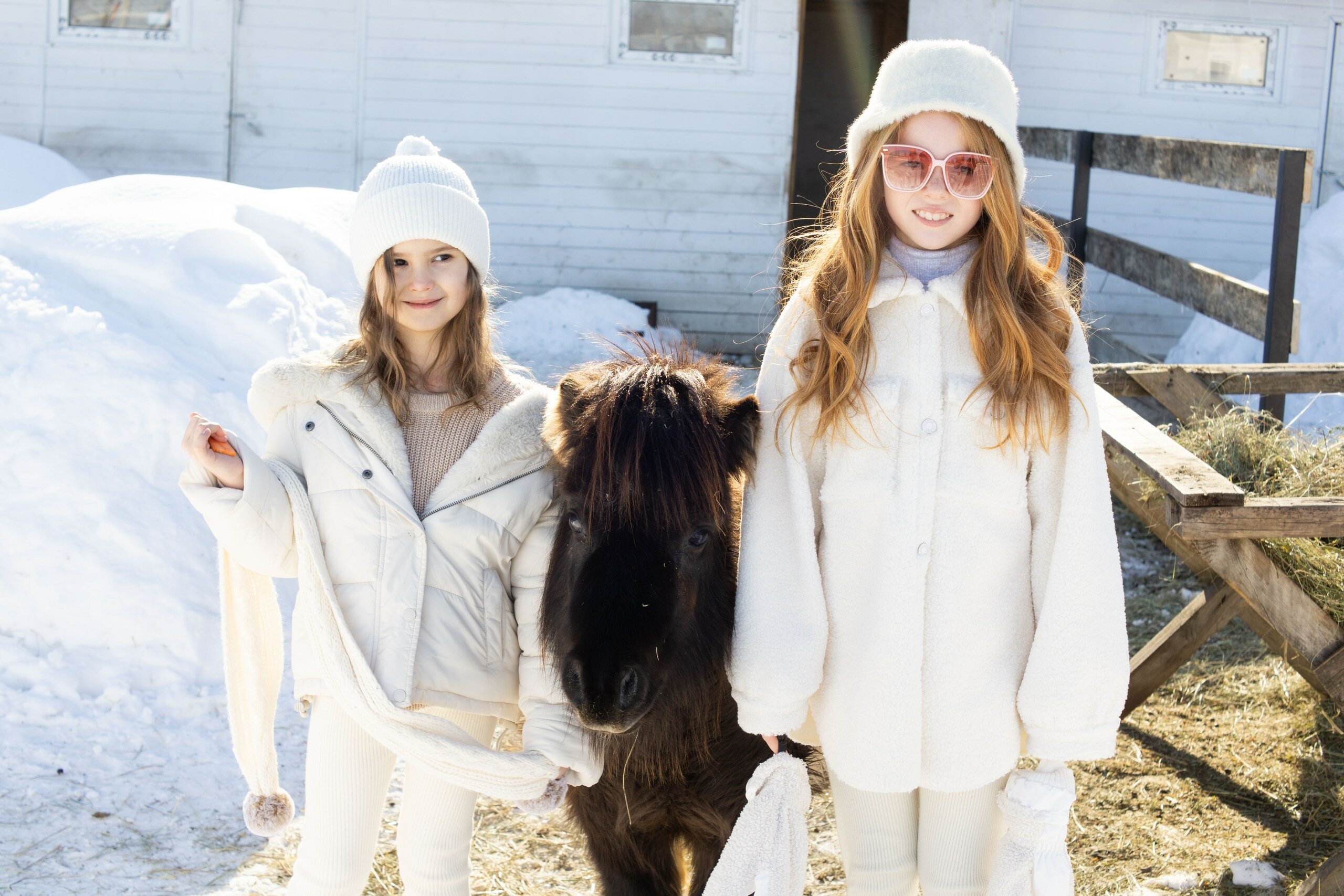 Фото Пара Альпак