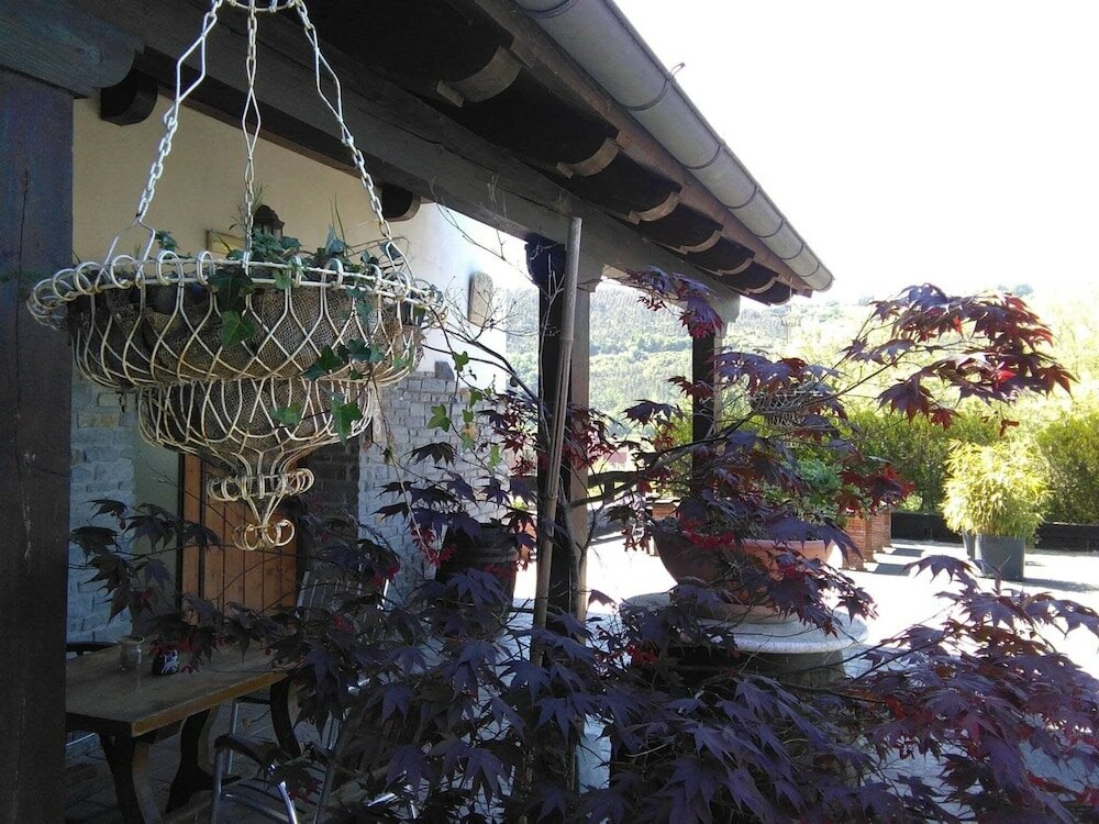 Фото Casa Rural y Apartamentos Haizeaberri