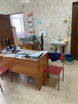 Ветеринарная станция по городскому округу Истра и Лотошинскому муниципальному району (Советская ул., уч49), ветеринарная клиника в Истре