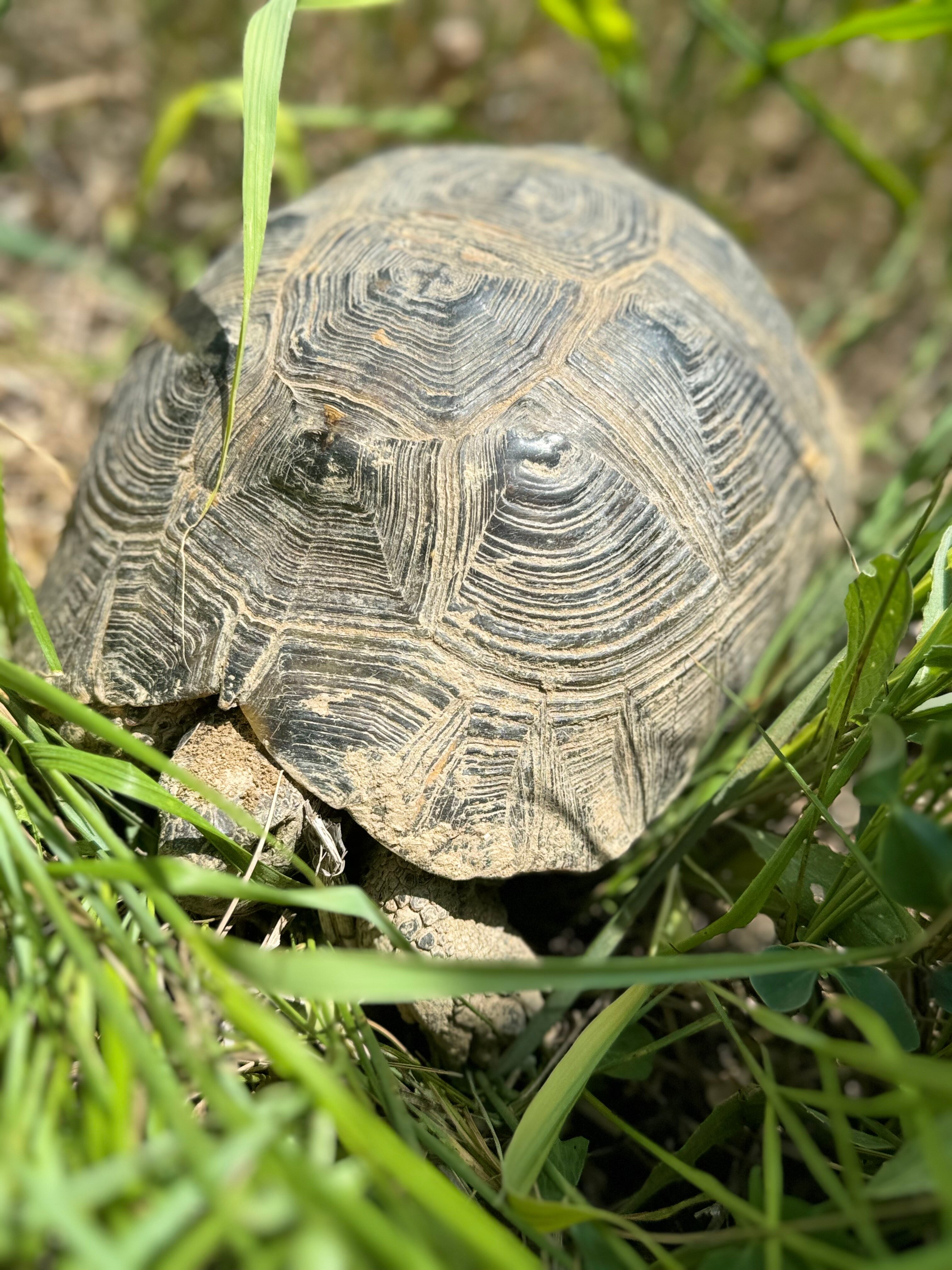Фото Gashalti Health Hotel