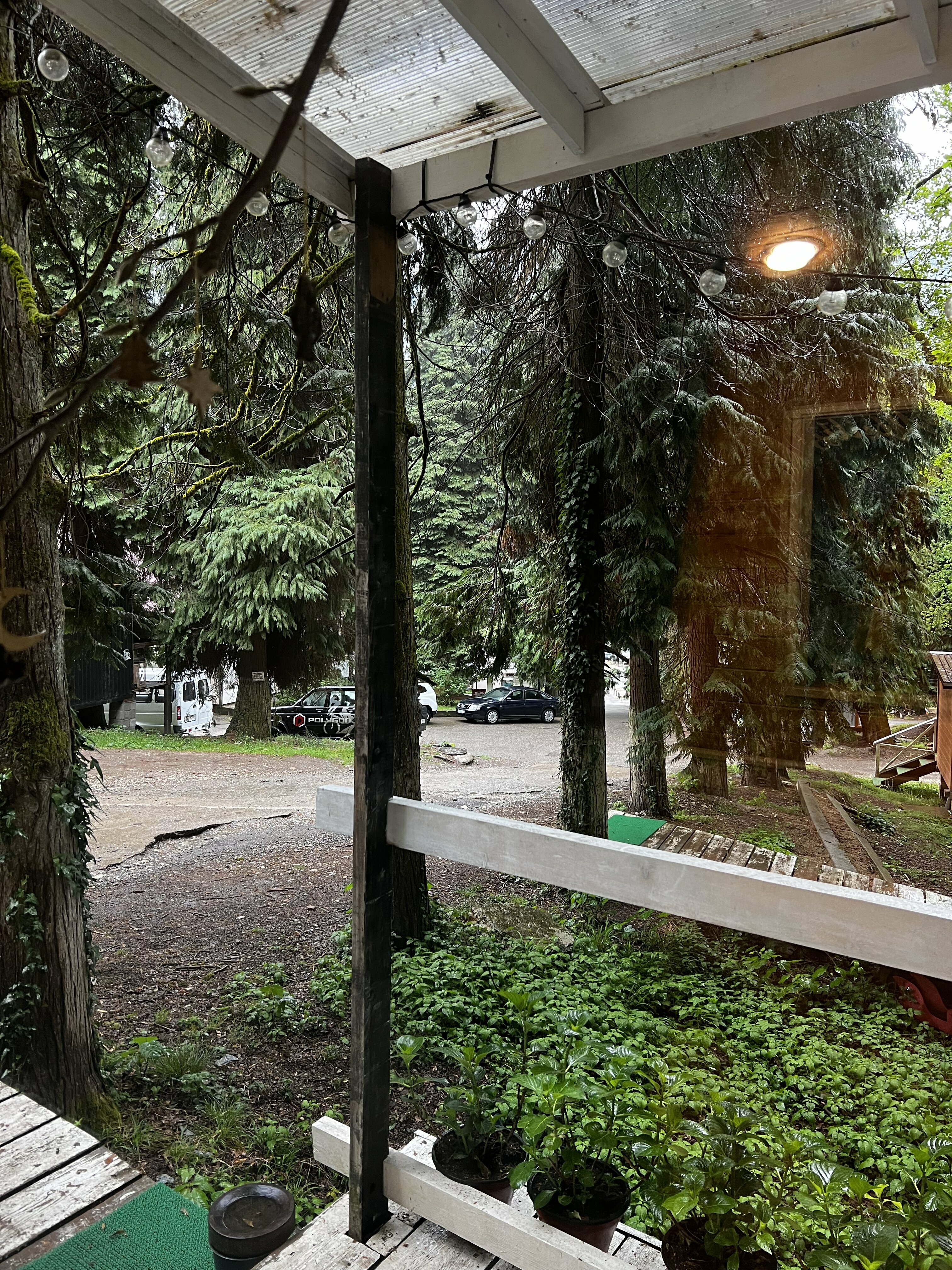 Фото Зайки в домике