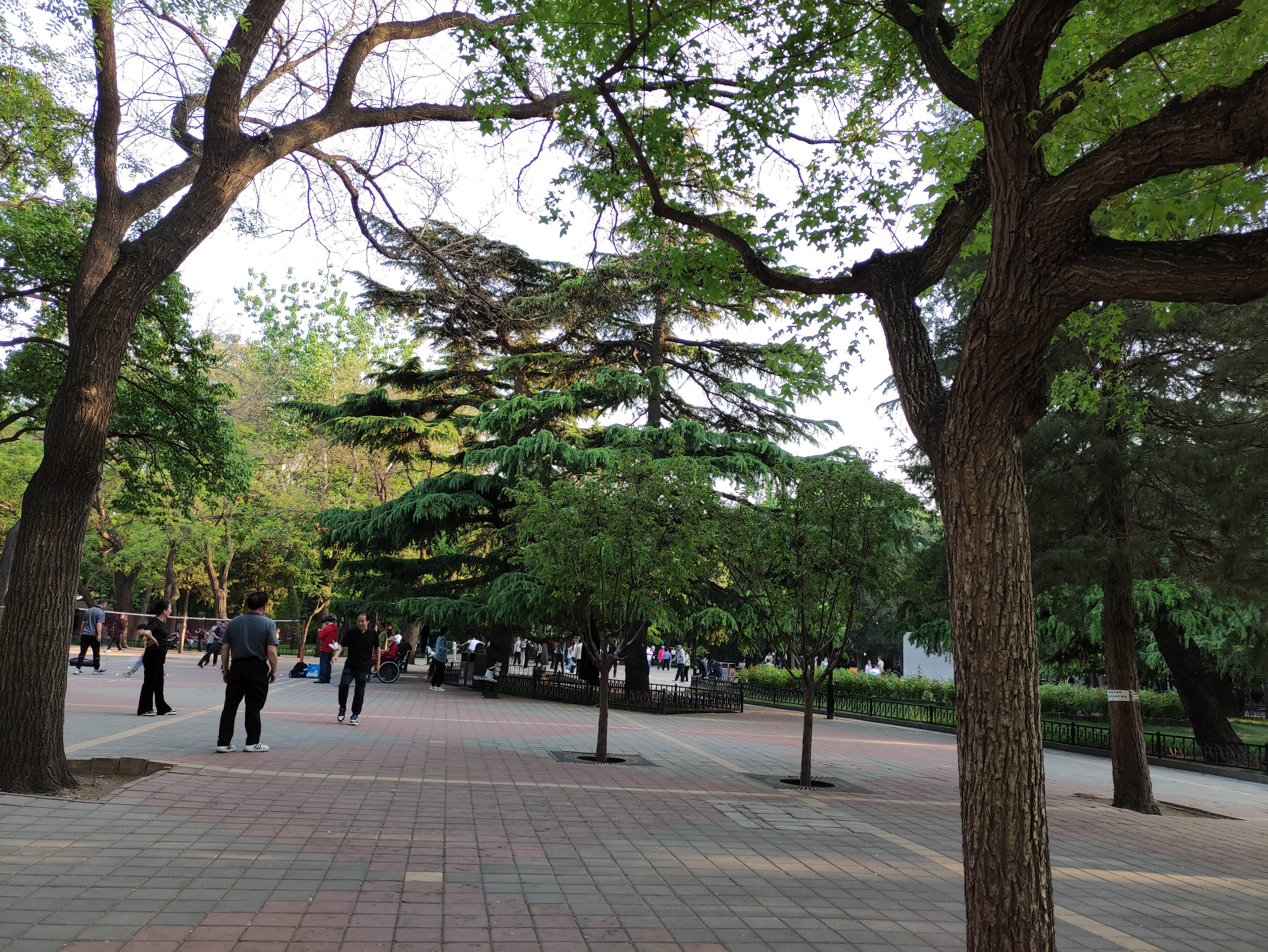 Фото Inner Mongolia Grand Hotel Beijing
