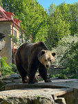 Зоопарк (просп. Мира, 26, Калининград), зоопарк в Калининграде