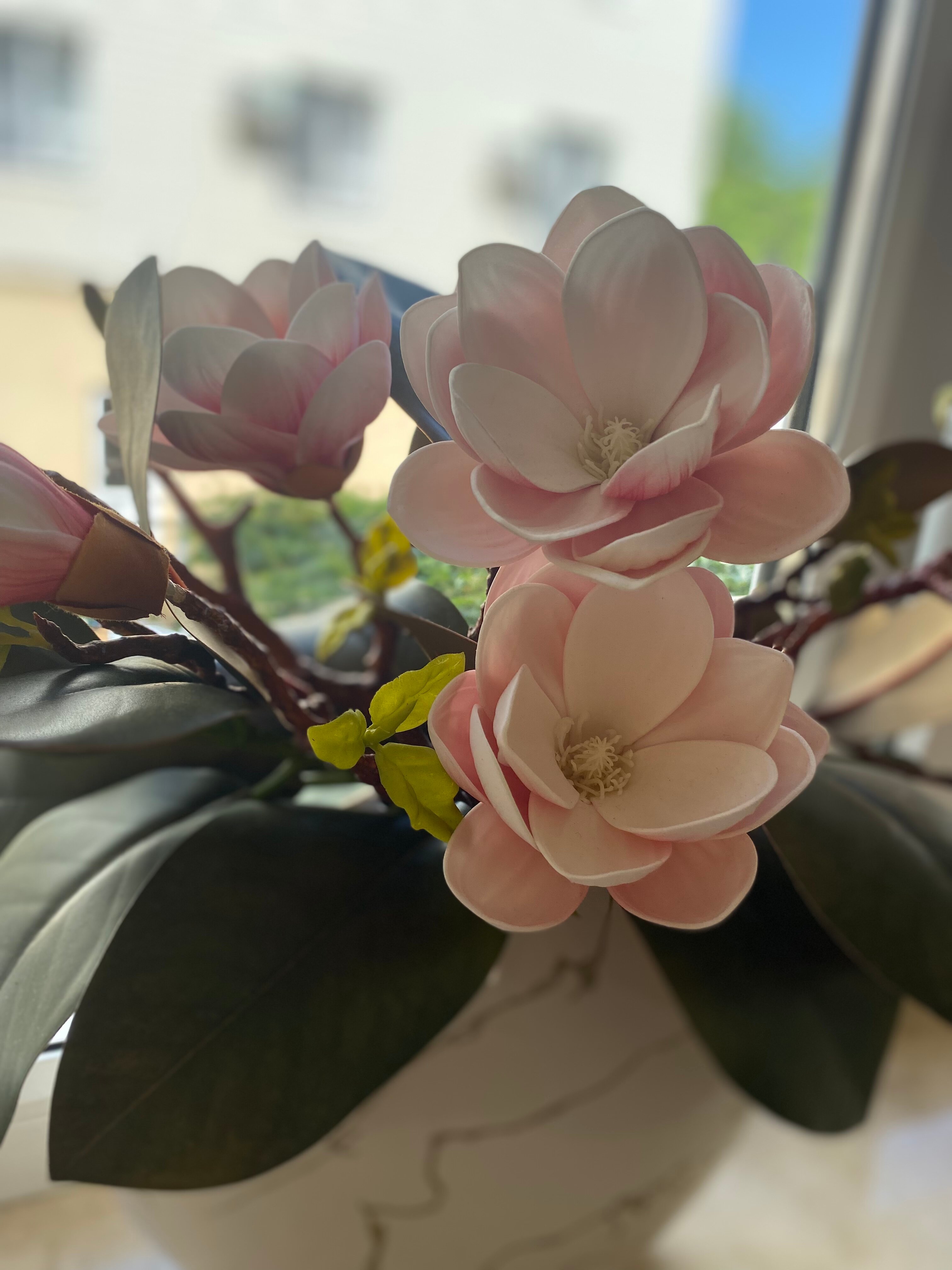 Фото Константинополь