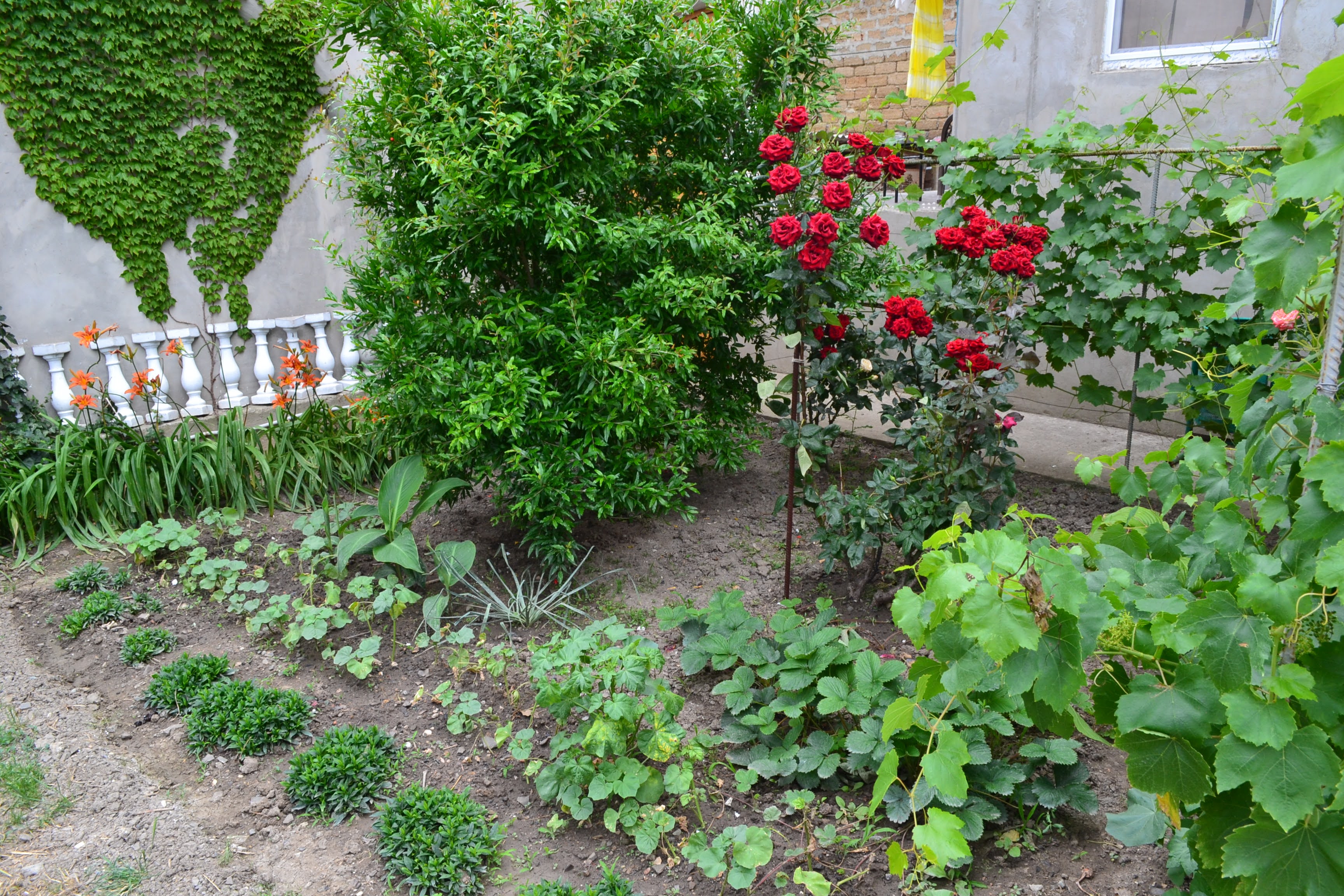 Фото Лонгвина