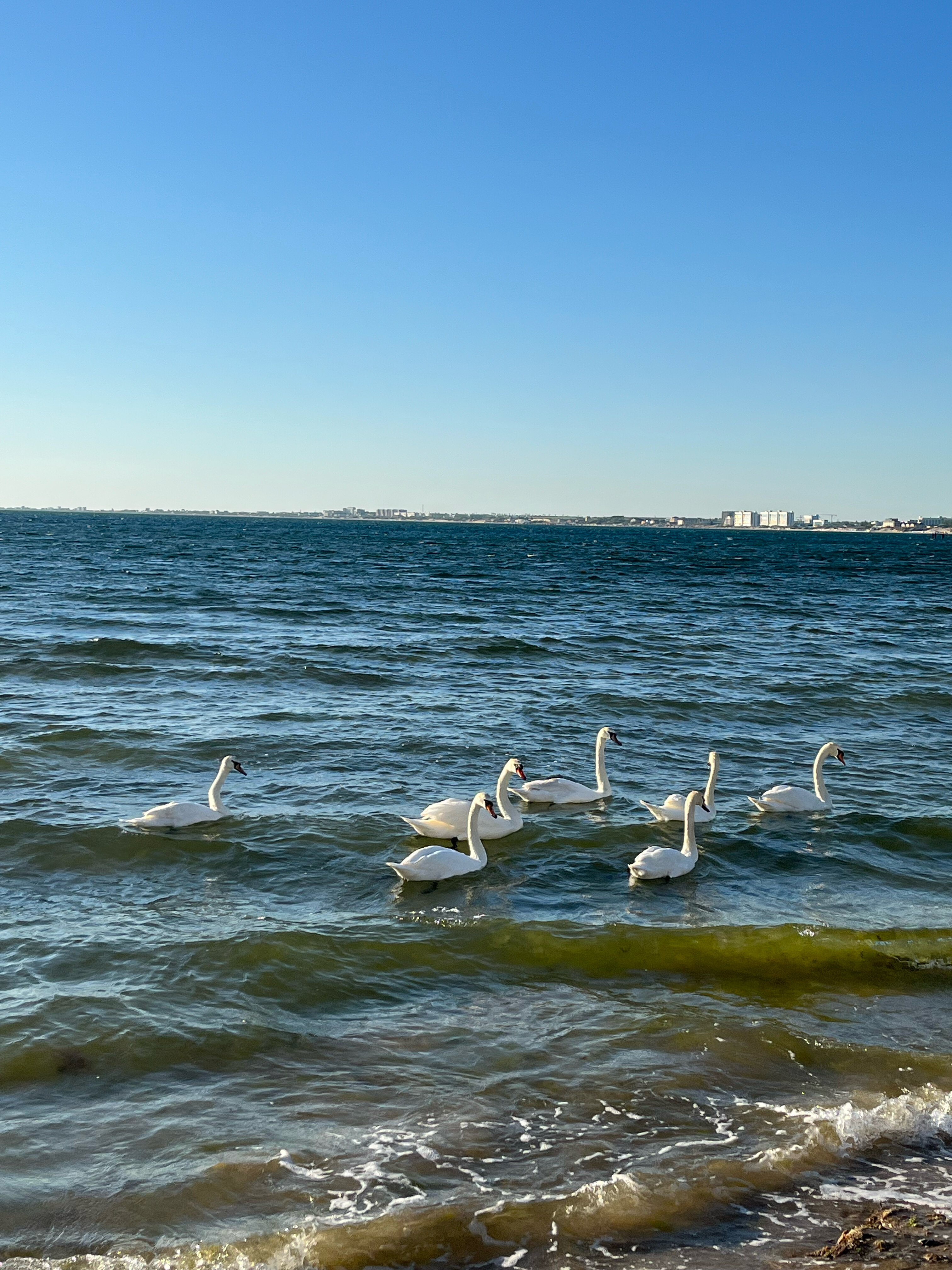 Фото ГринПарк