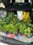 Господин Тюльпан (derevnya Bebelevo, Sportivnaya ulitsa, 10), flower market