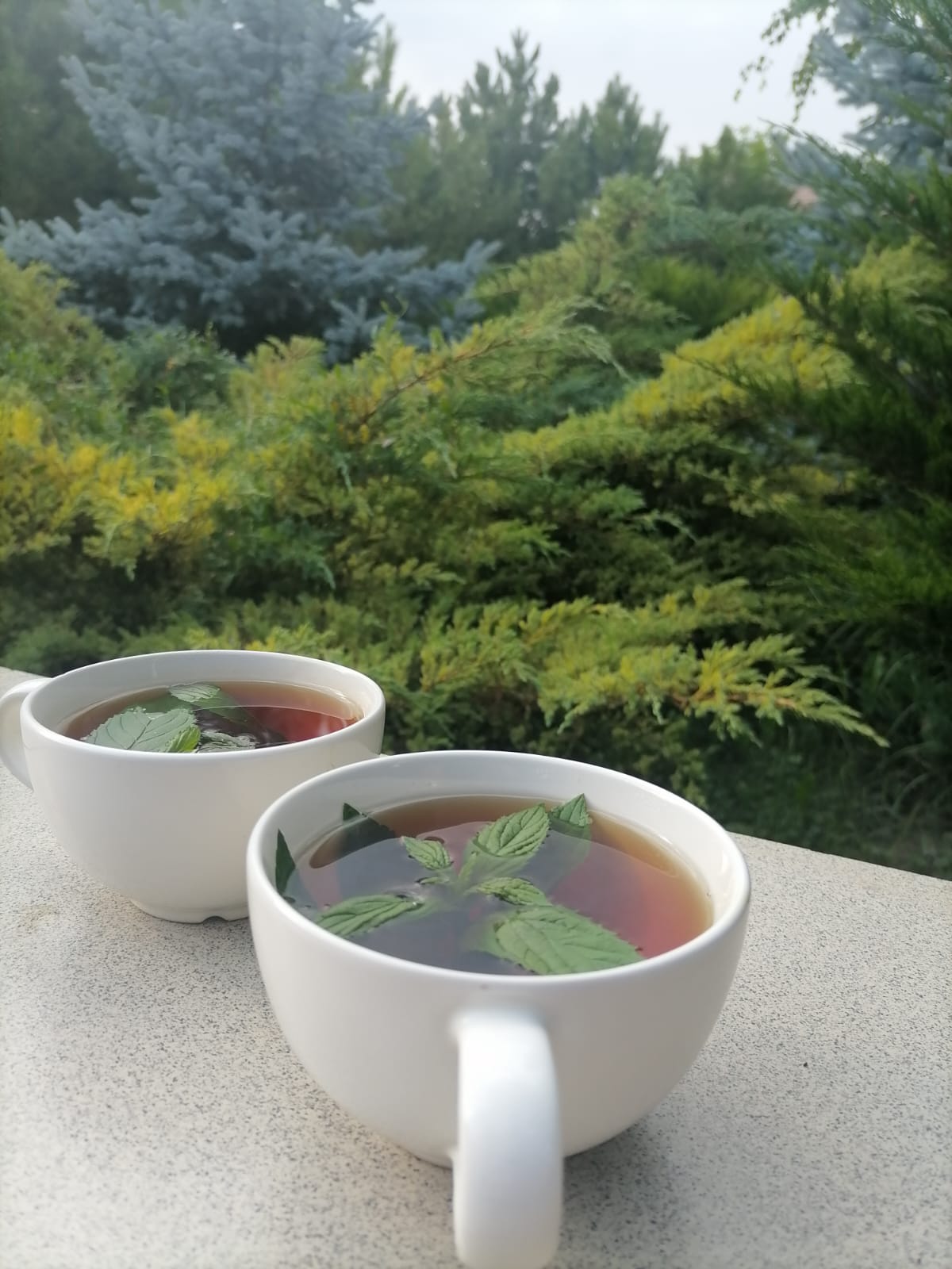 Фото Верано