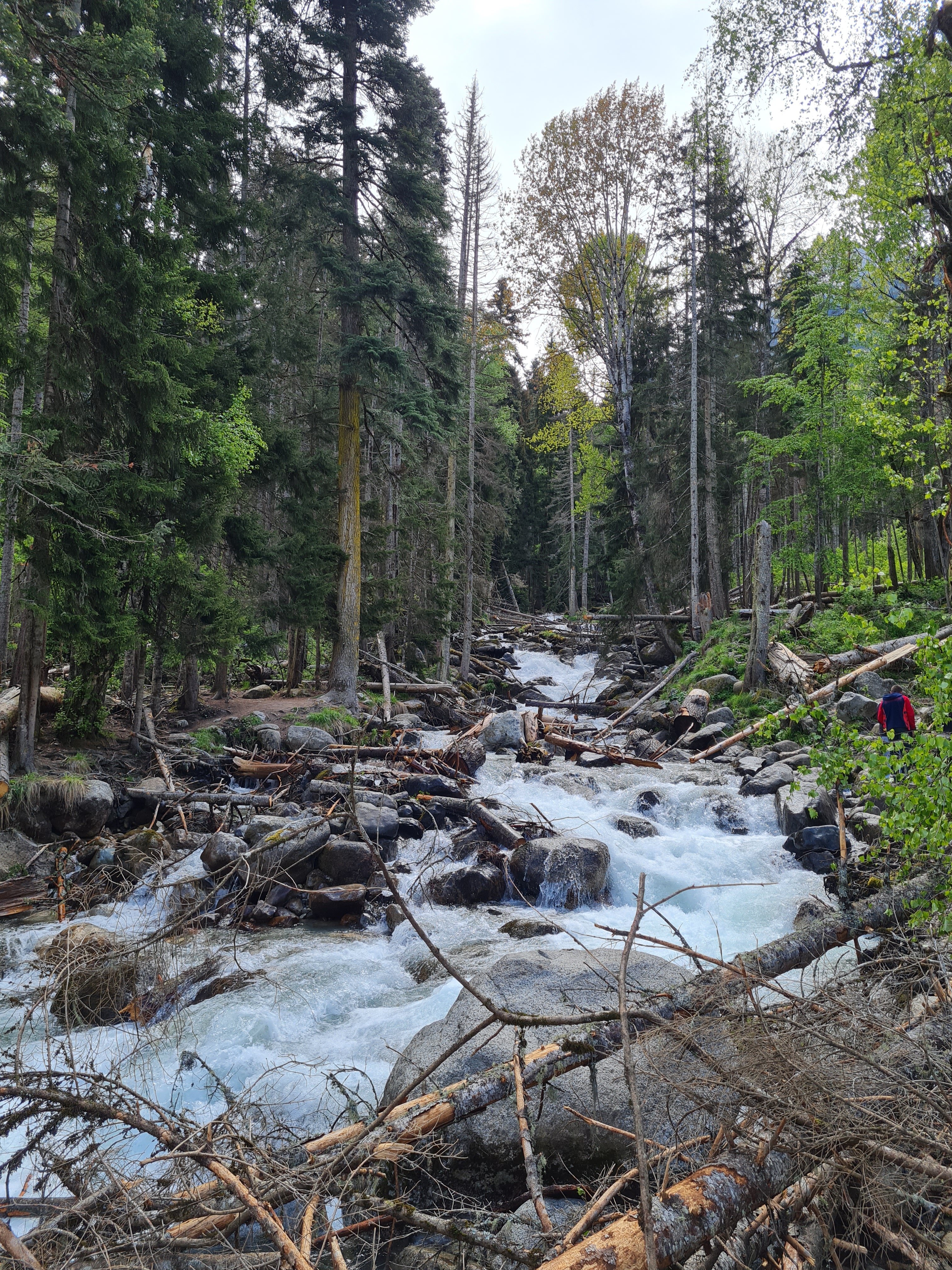 Фото Тебердом