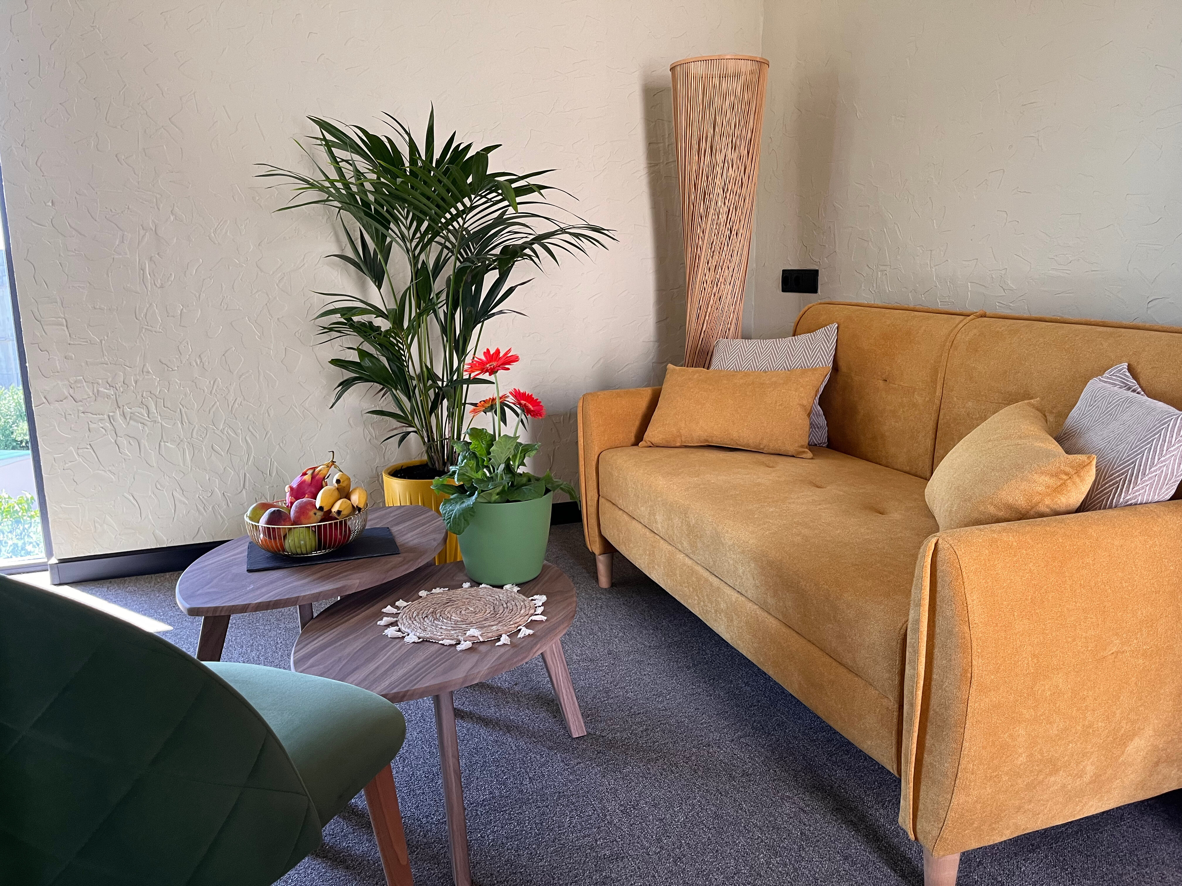 Фото Little Palm