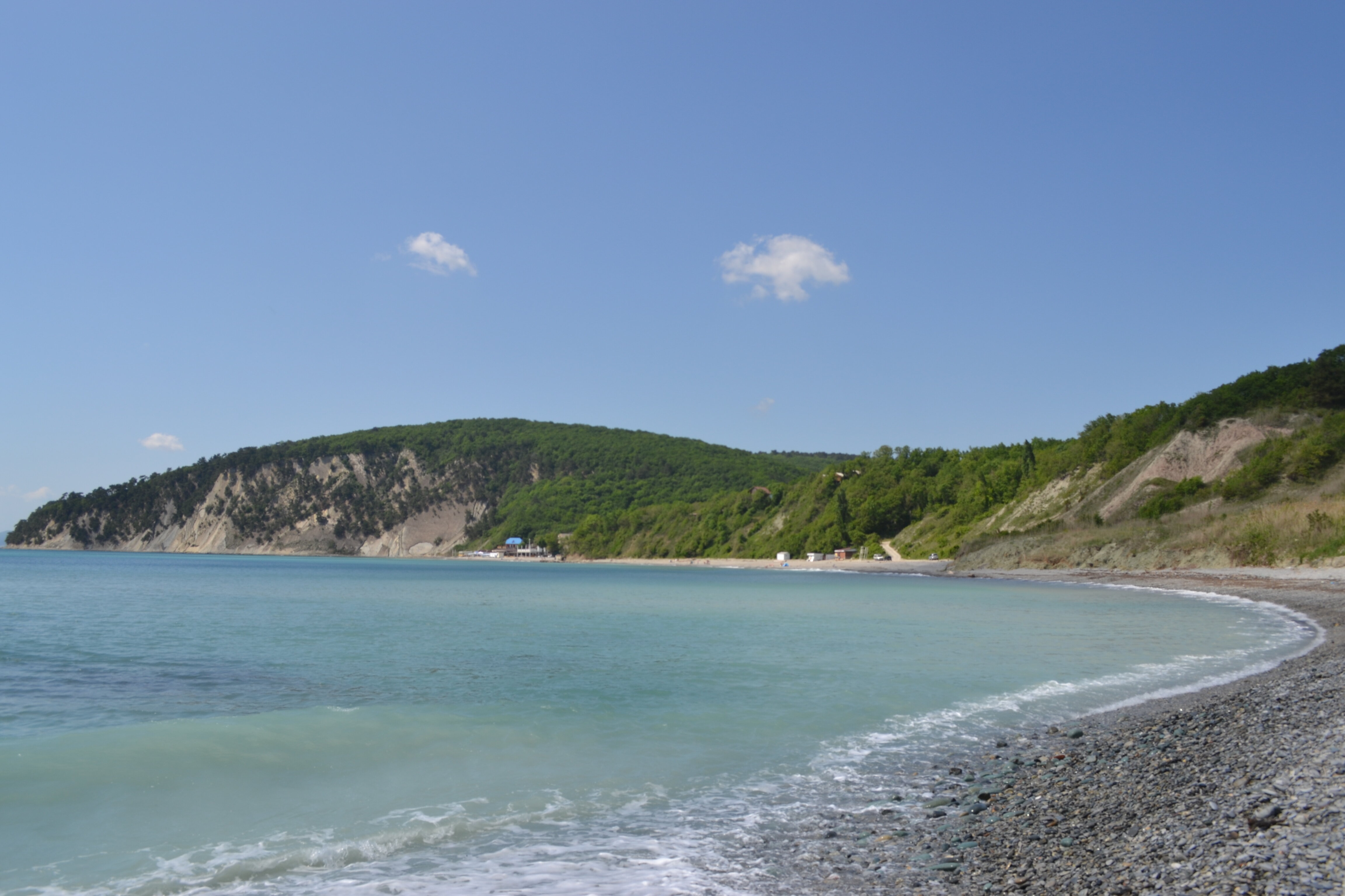 Фото Аммонит