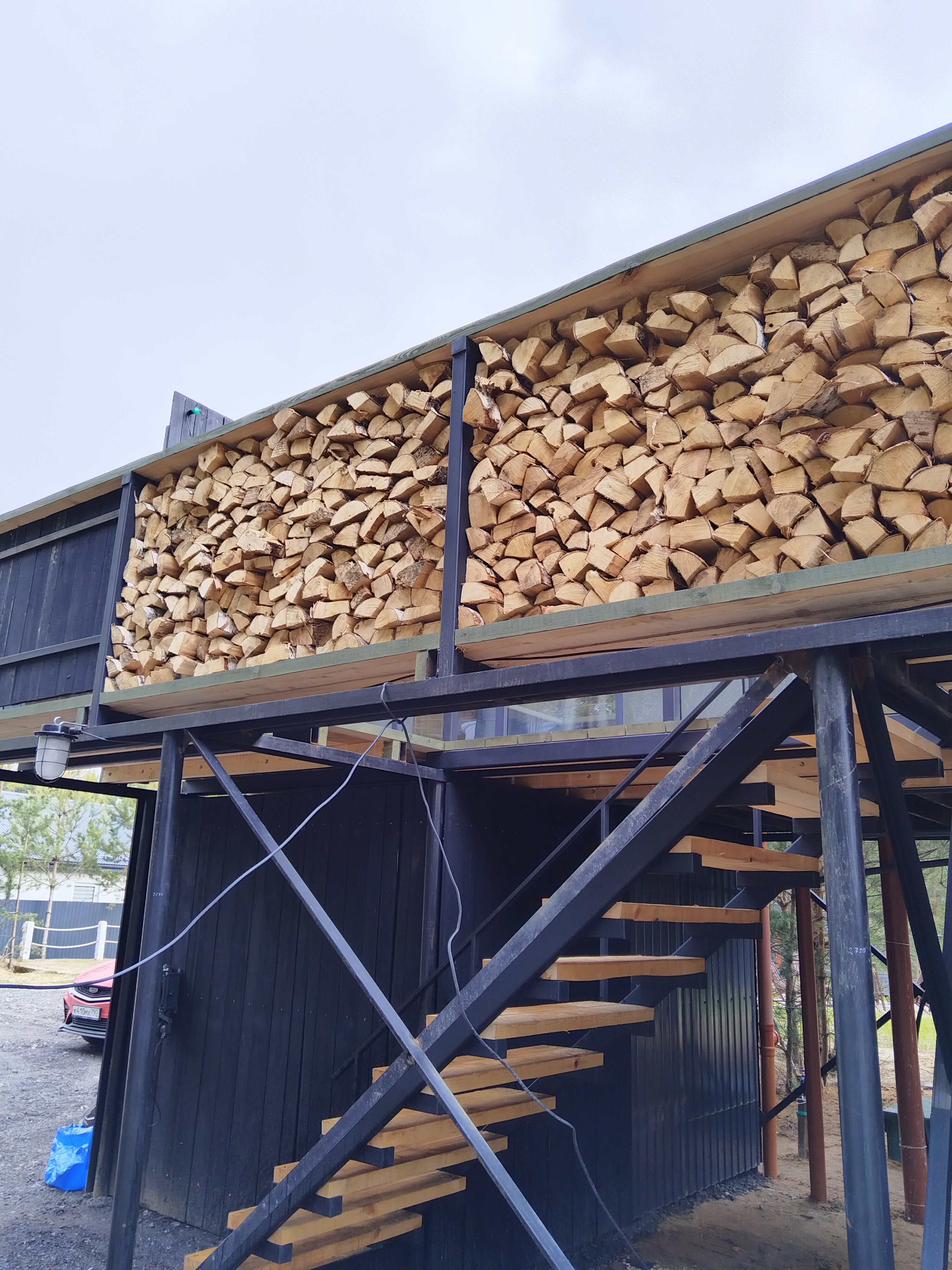 Фото А в лесу