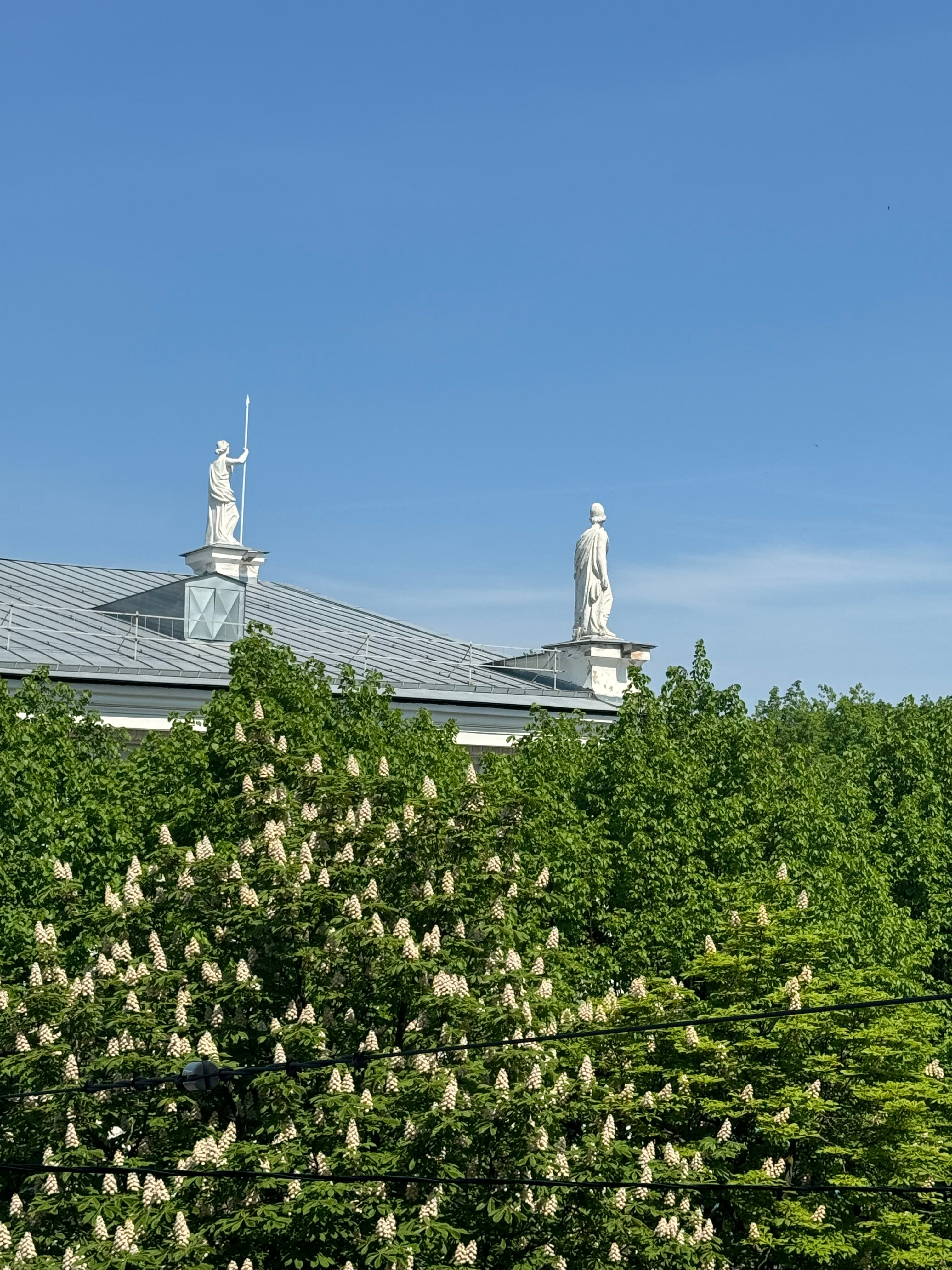 Фото Solo Исаакиевская площадь