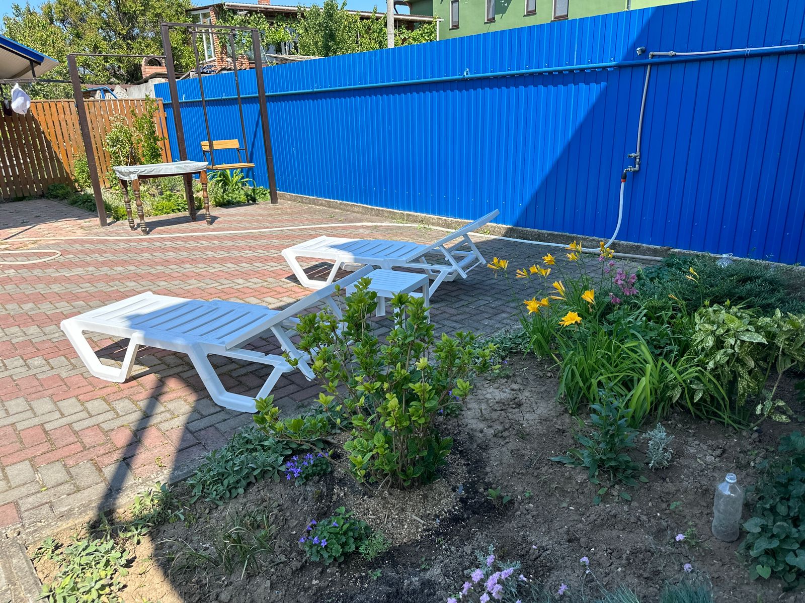 Фото Моника