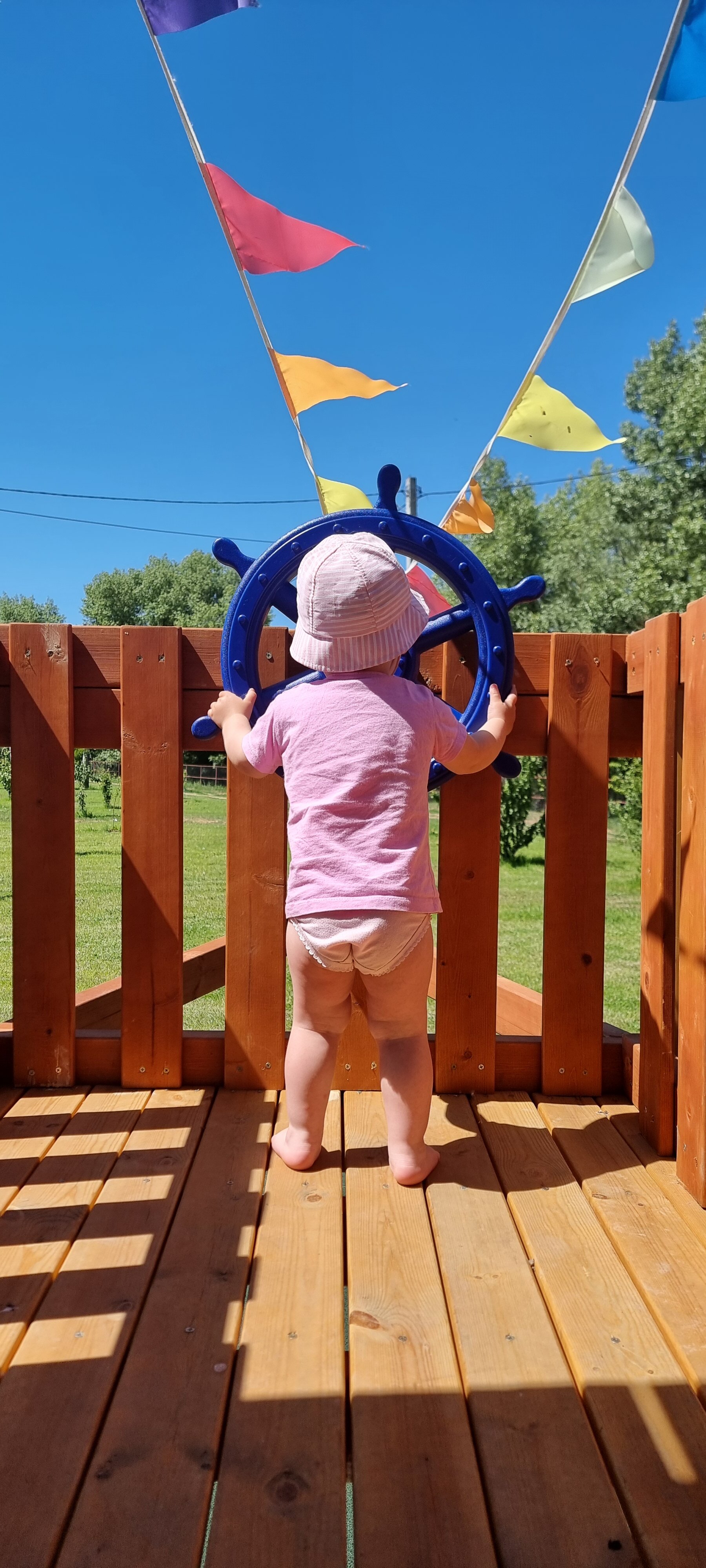 Фото Золотая рыбка