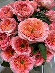 Больше, чем Цветы (mikrorayon Davydovskiy-3, 18), flower shop