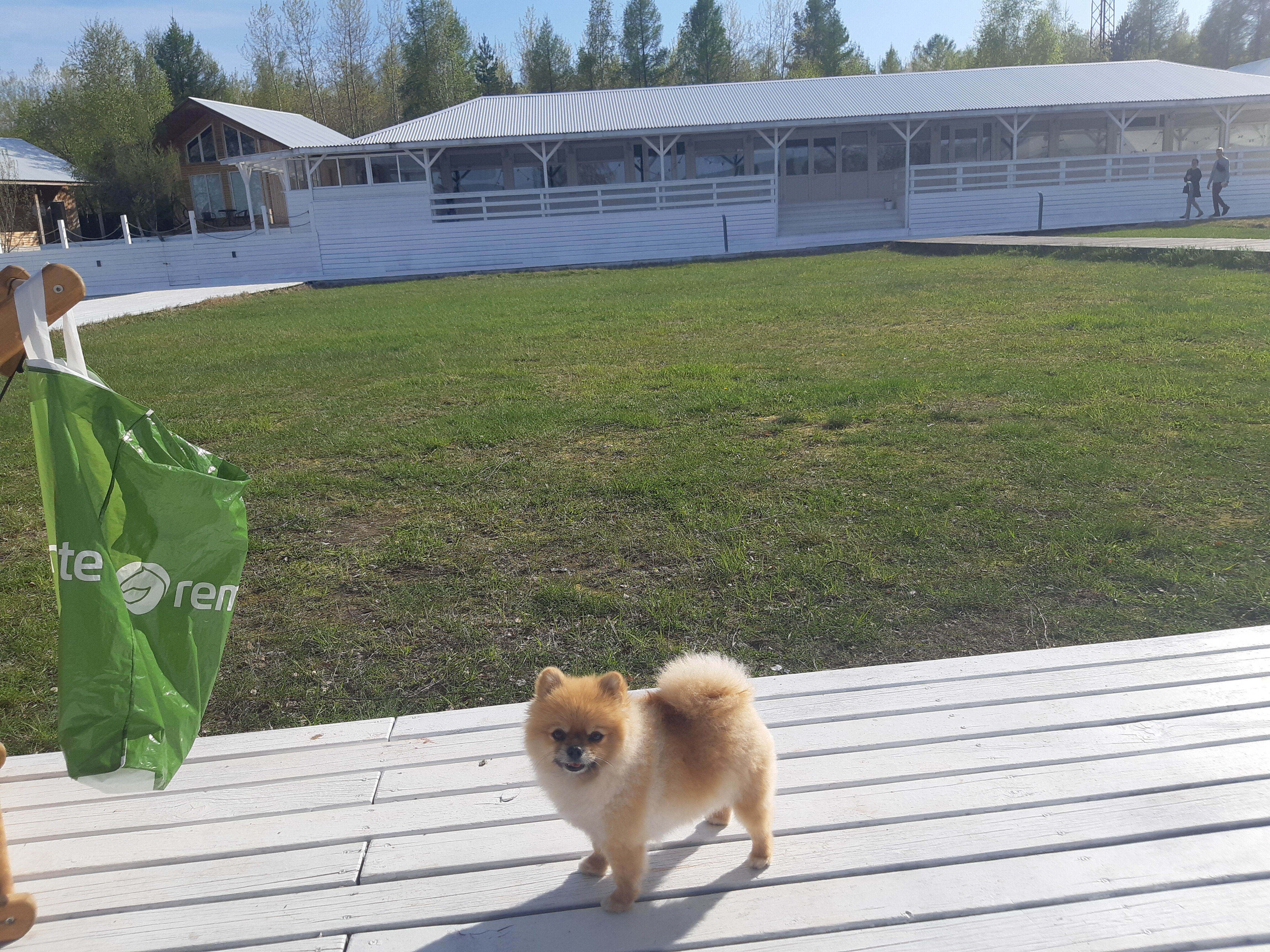 Фото Белый Берег