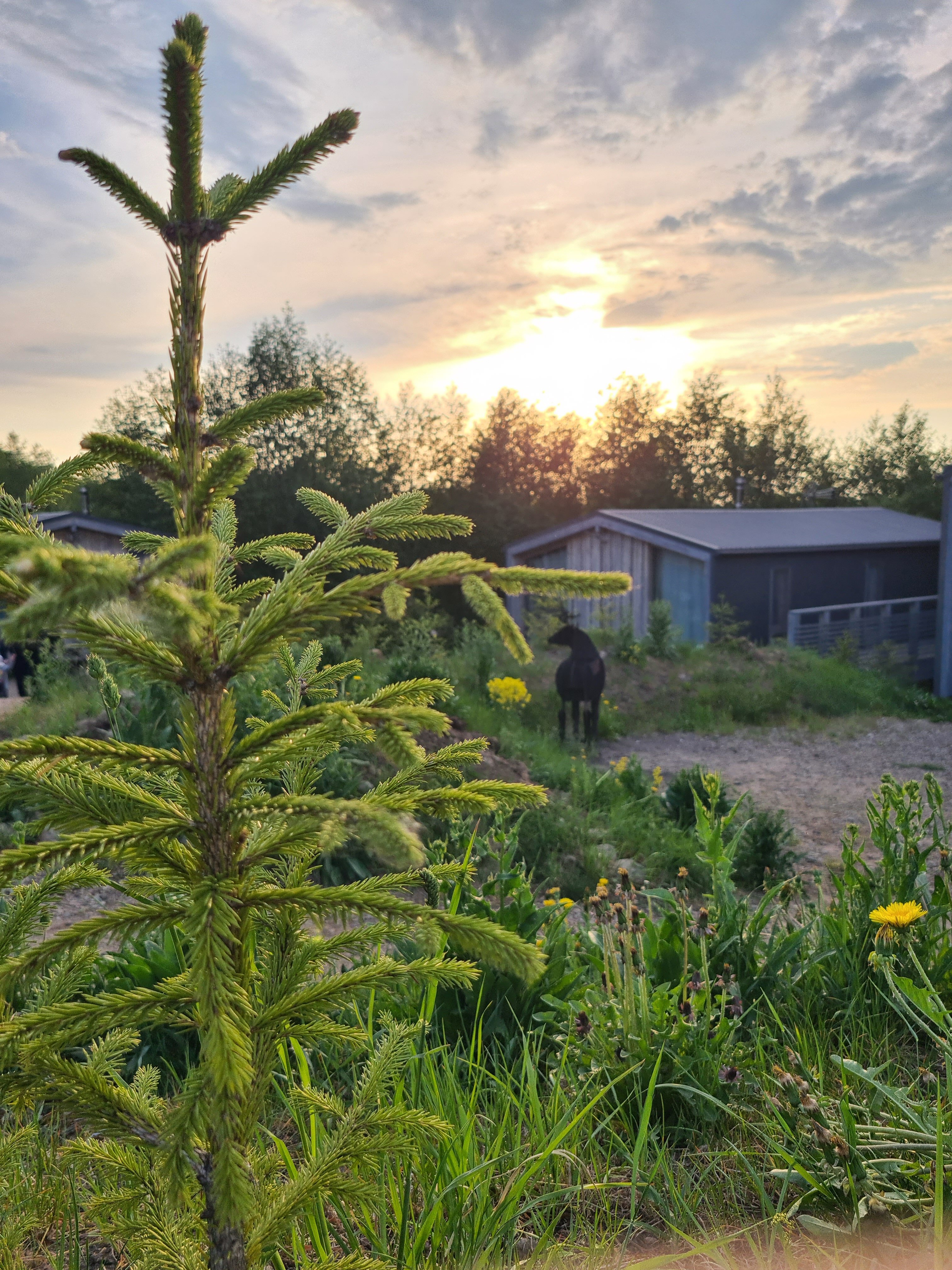 Фото Мишка на прудах