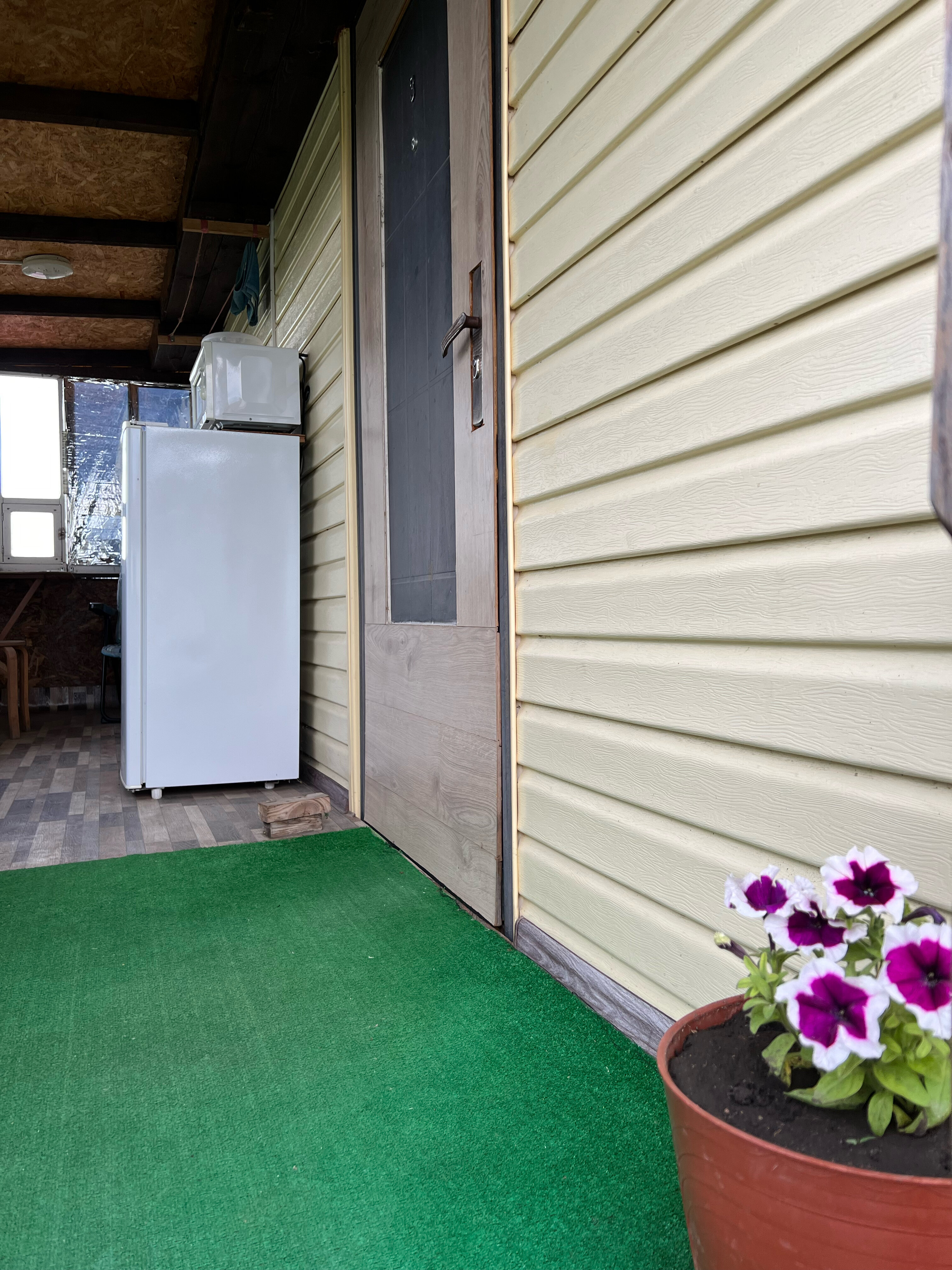 Фото Ивушка